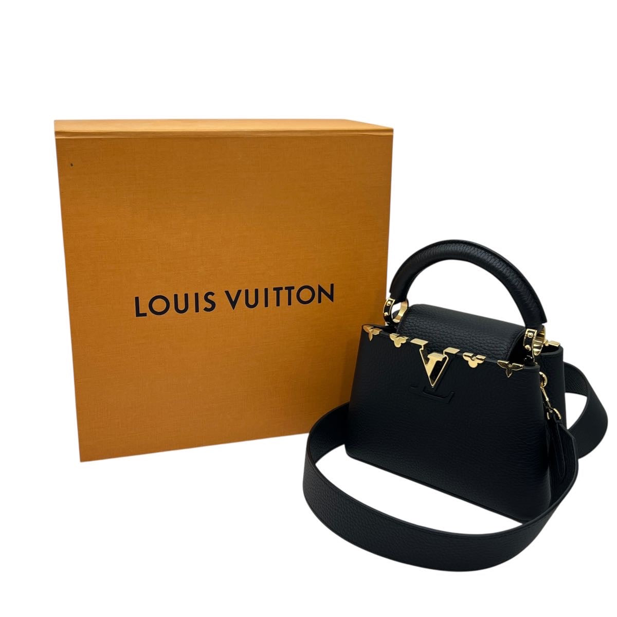 LOUIS VUITTON BORSA CAPUCINES MINI