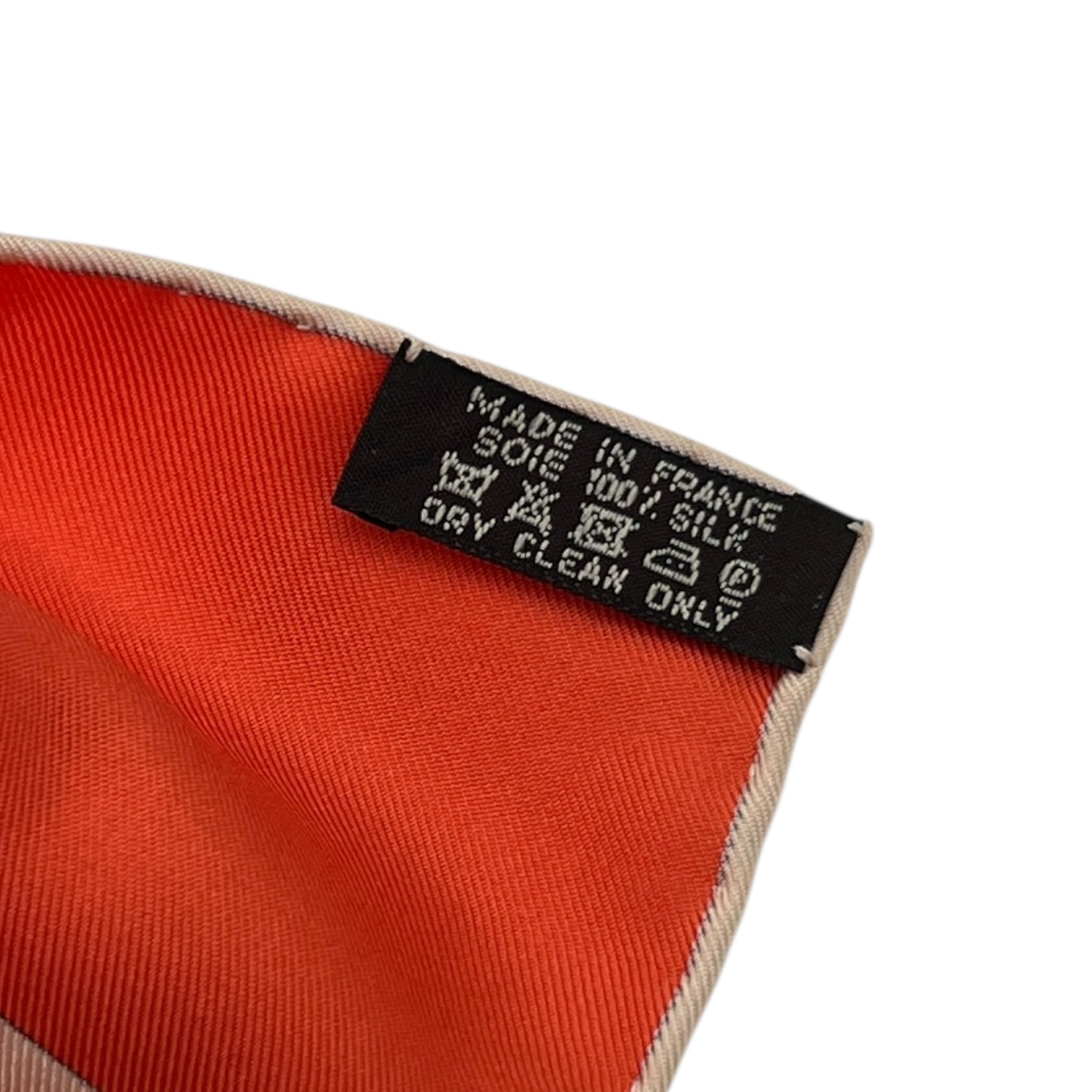 Foulard Carré 90 “Jardin d’Hiver”