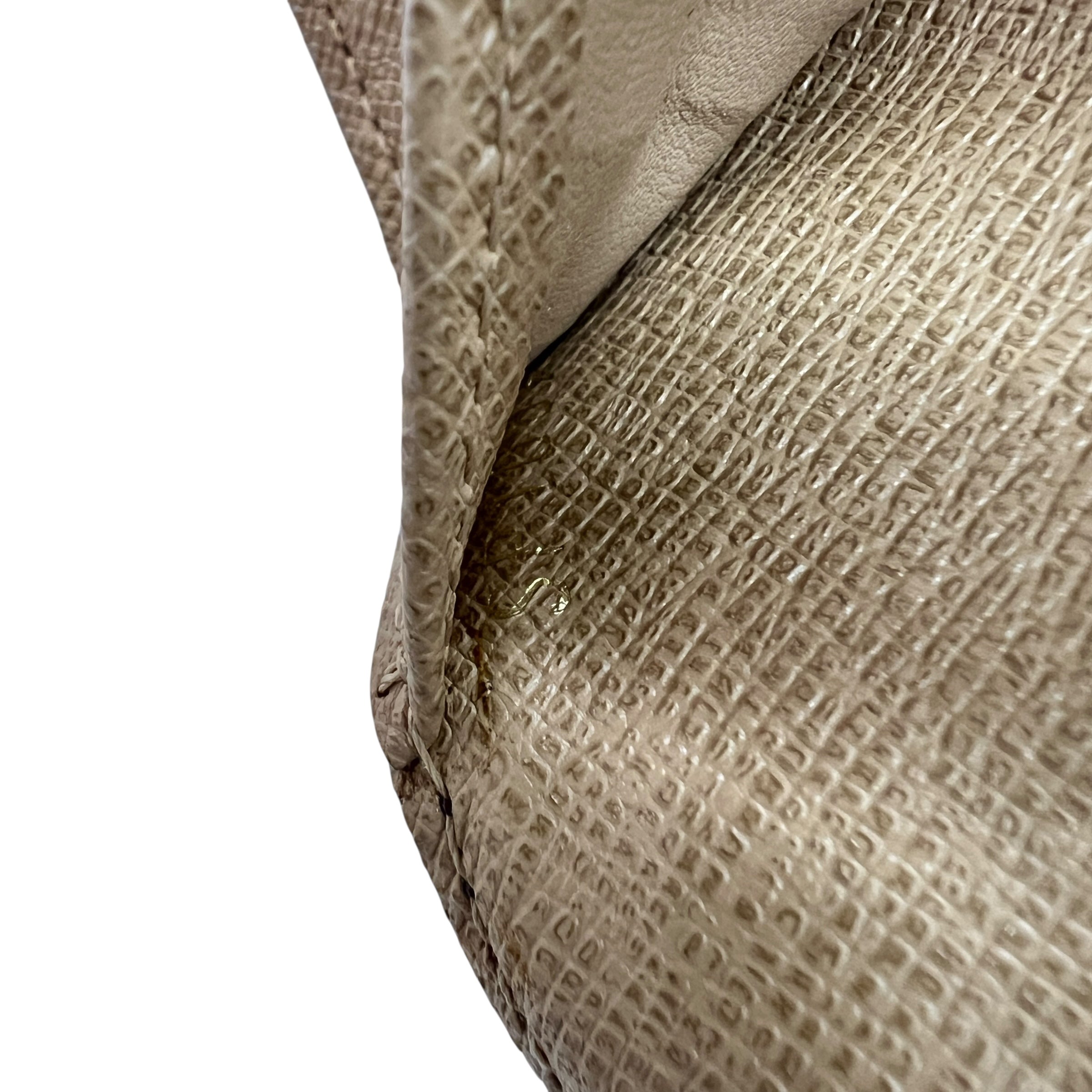 Copertina Agenda piccola Trunk Ed.