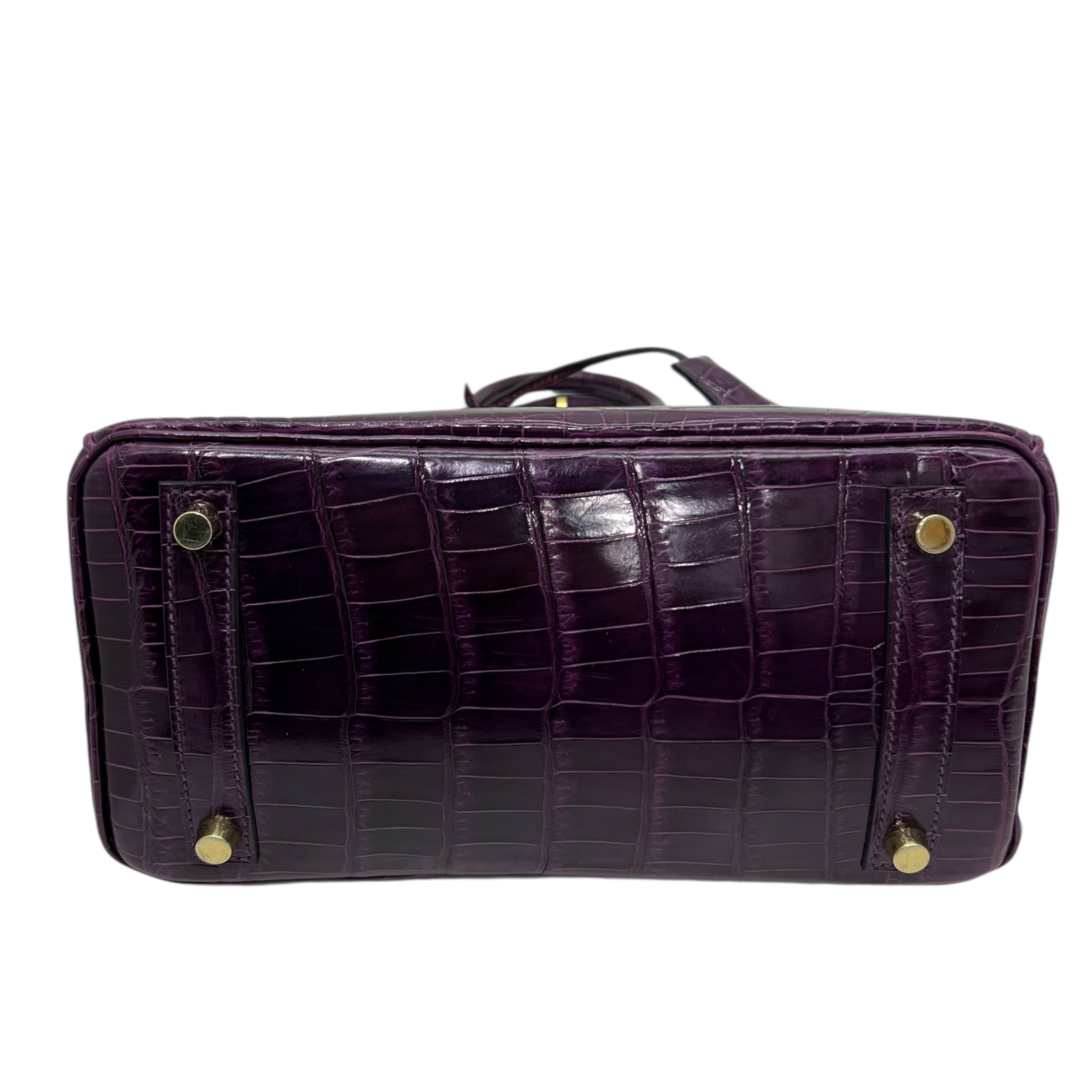 Birkin 25 Niloticus Aubergine (2014)