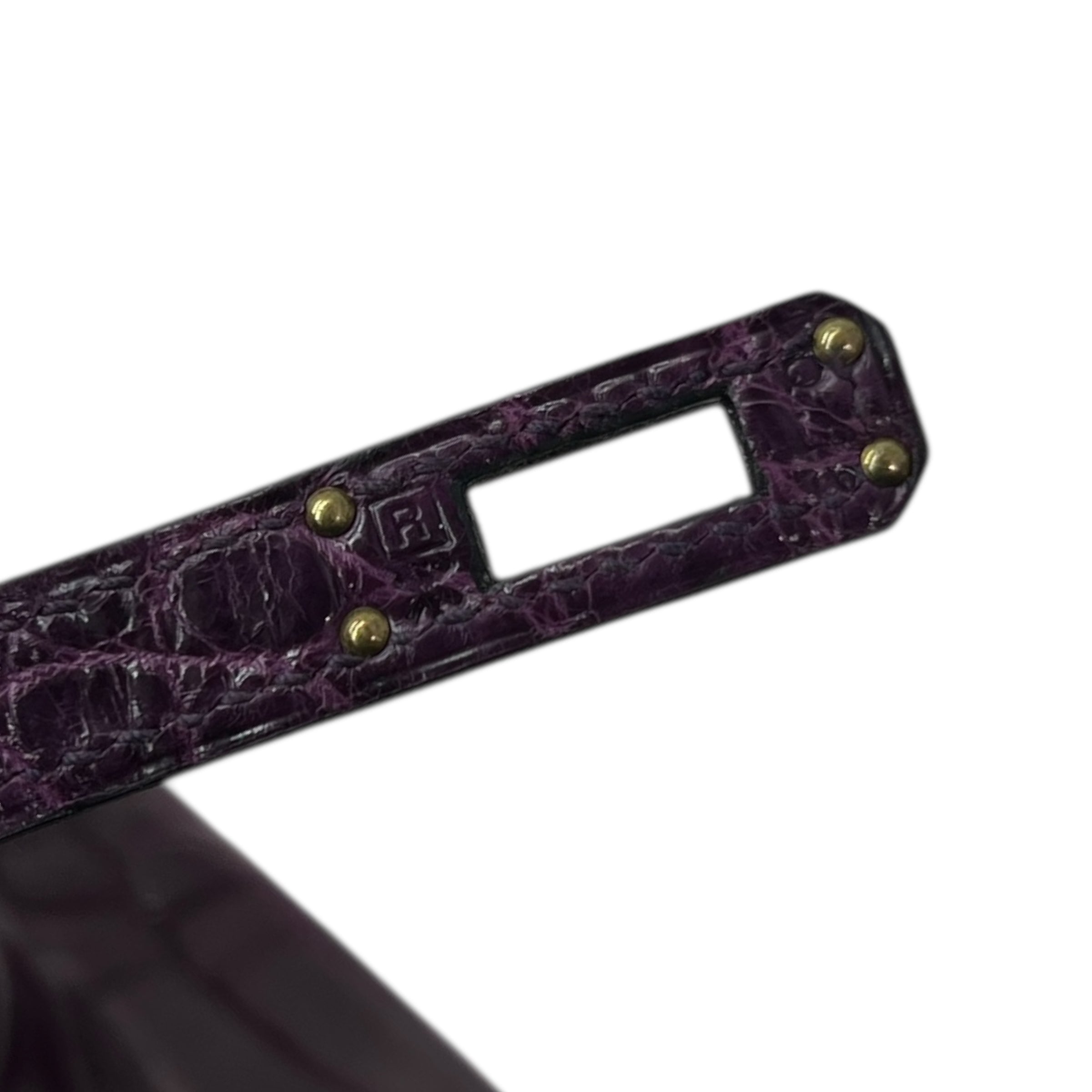 Birkin 25 Niloticus Aubergine (2014)