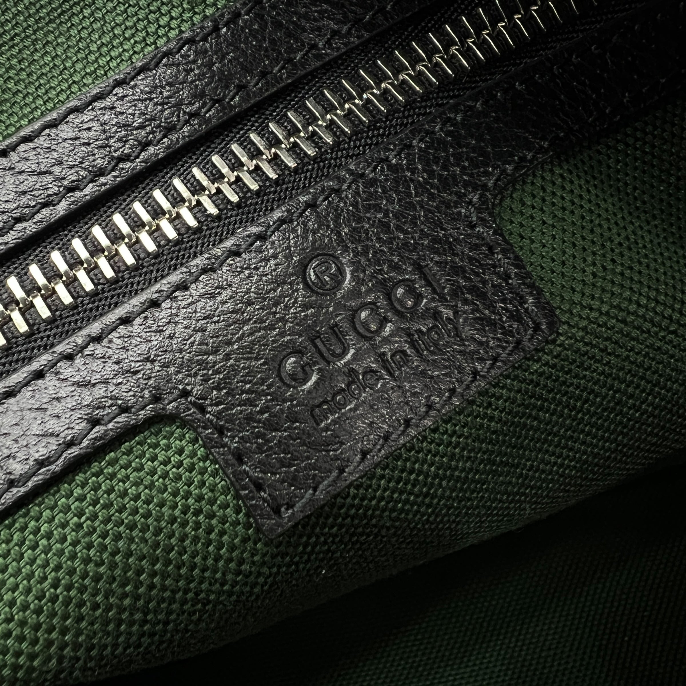 Tracolla Ophidia misura media