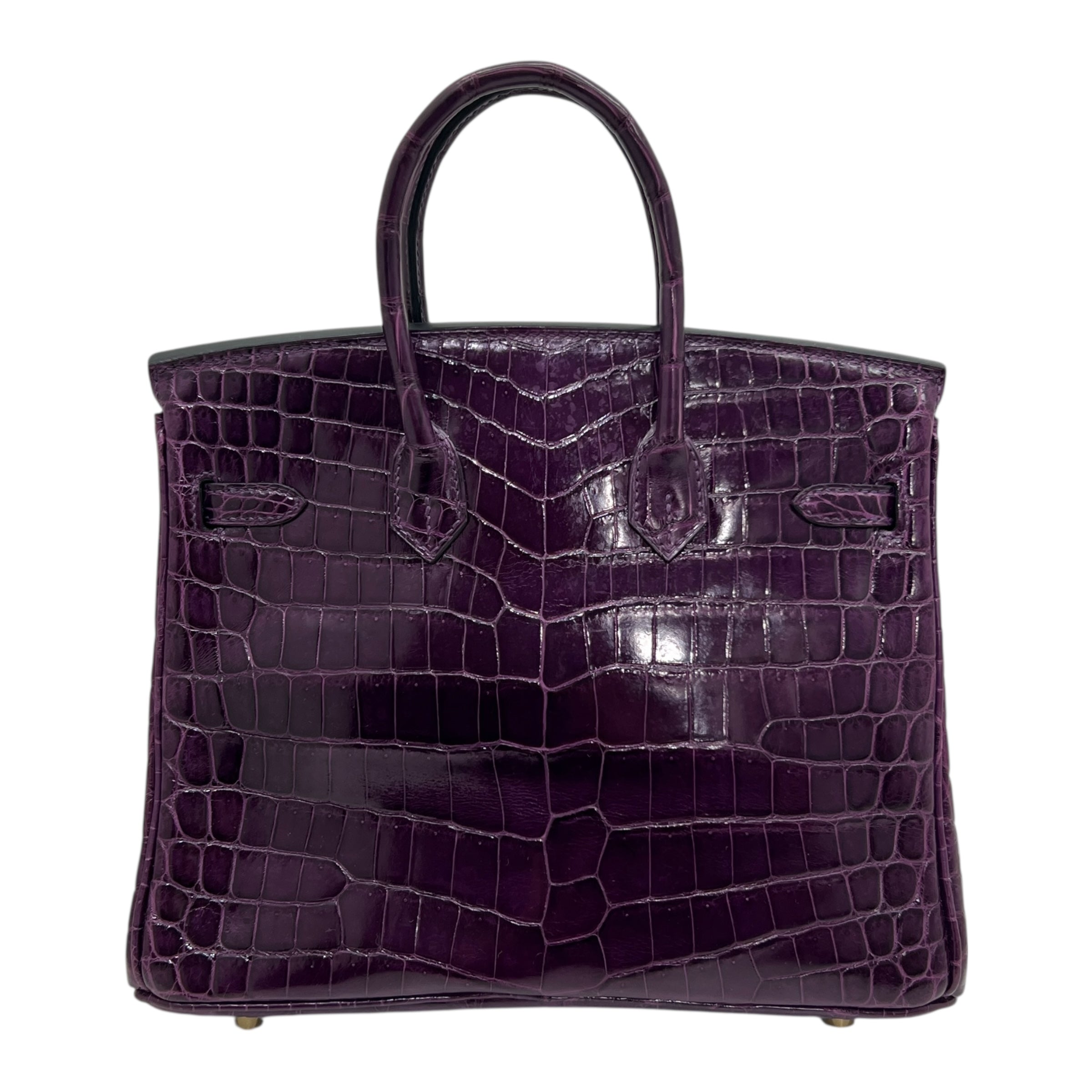 Birkin 25 Niloticus Aubergine (2014)
