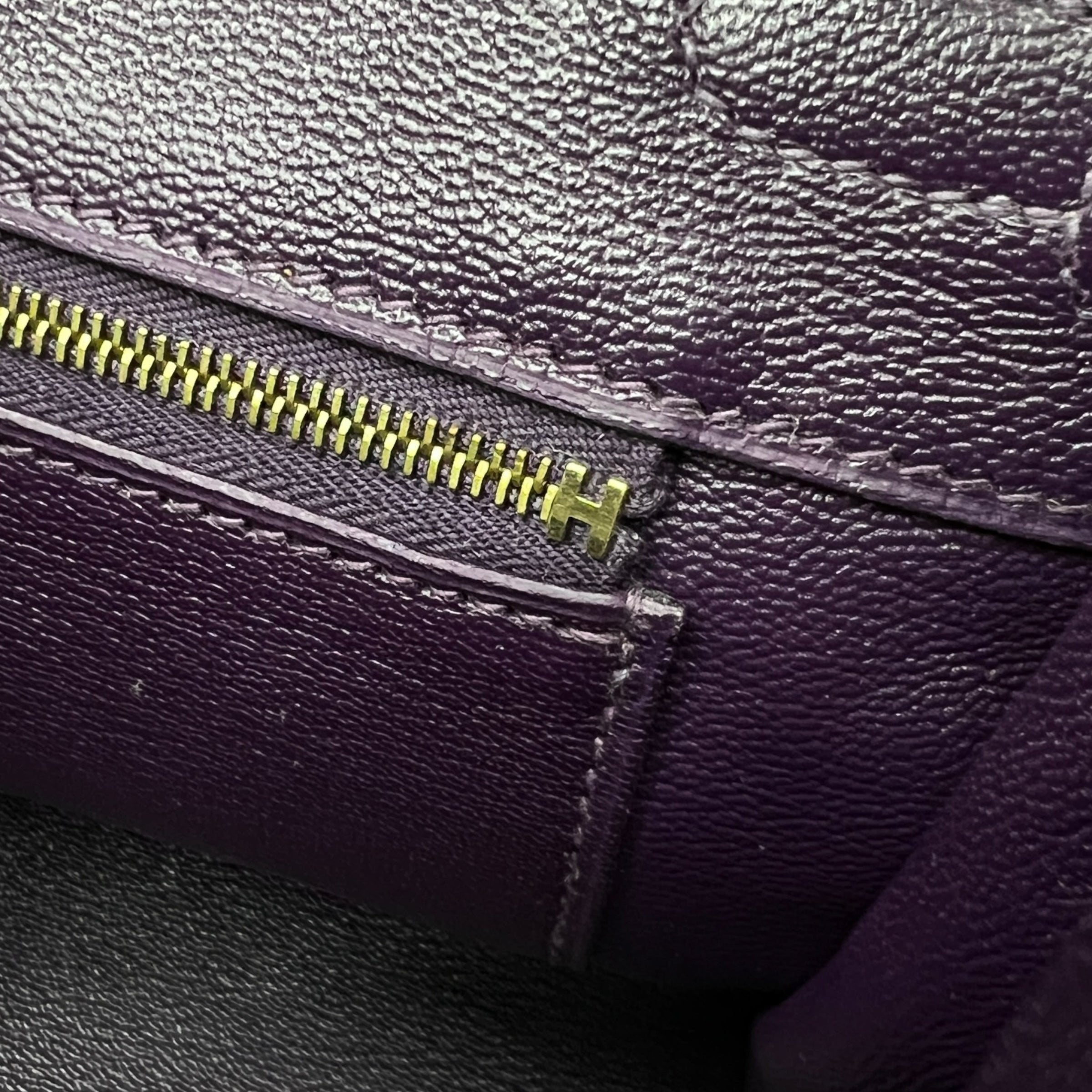 Birkin 25 Niloticus Aubergine (2014)