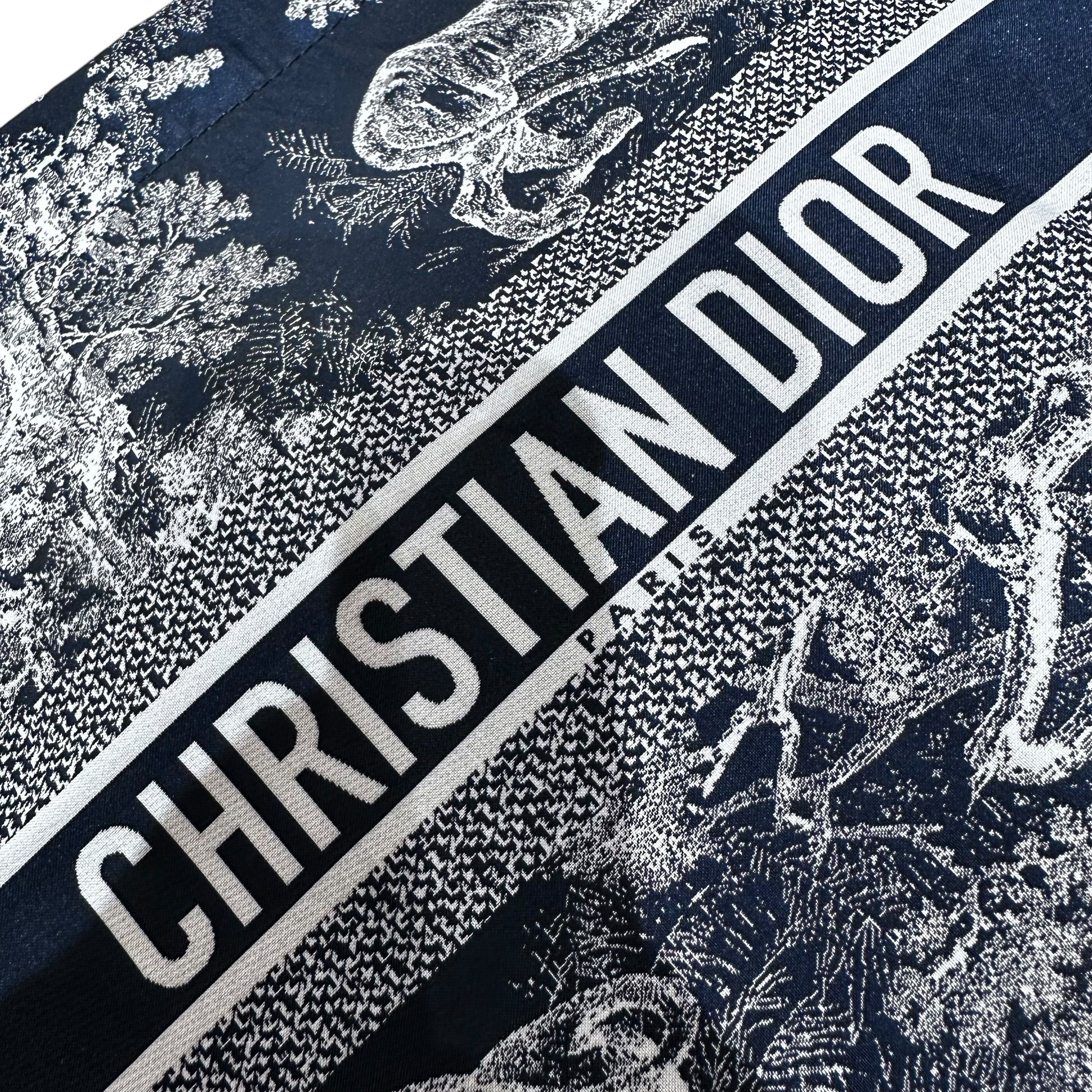 Pochette Dior travel