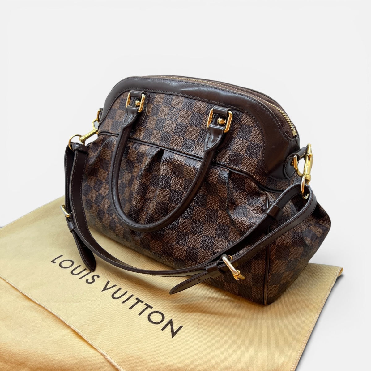 Trevi PM Damier Ebene