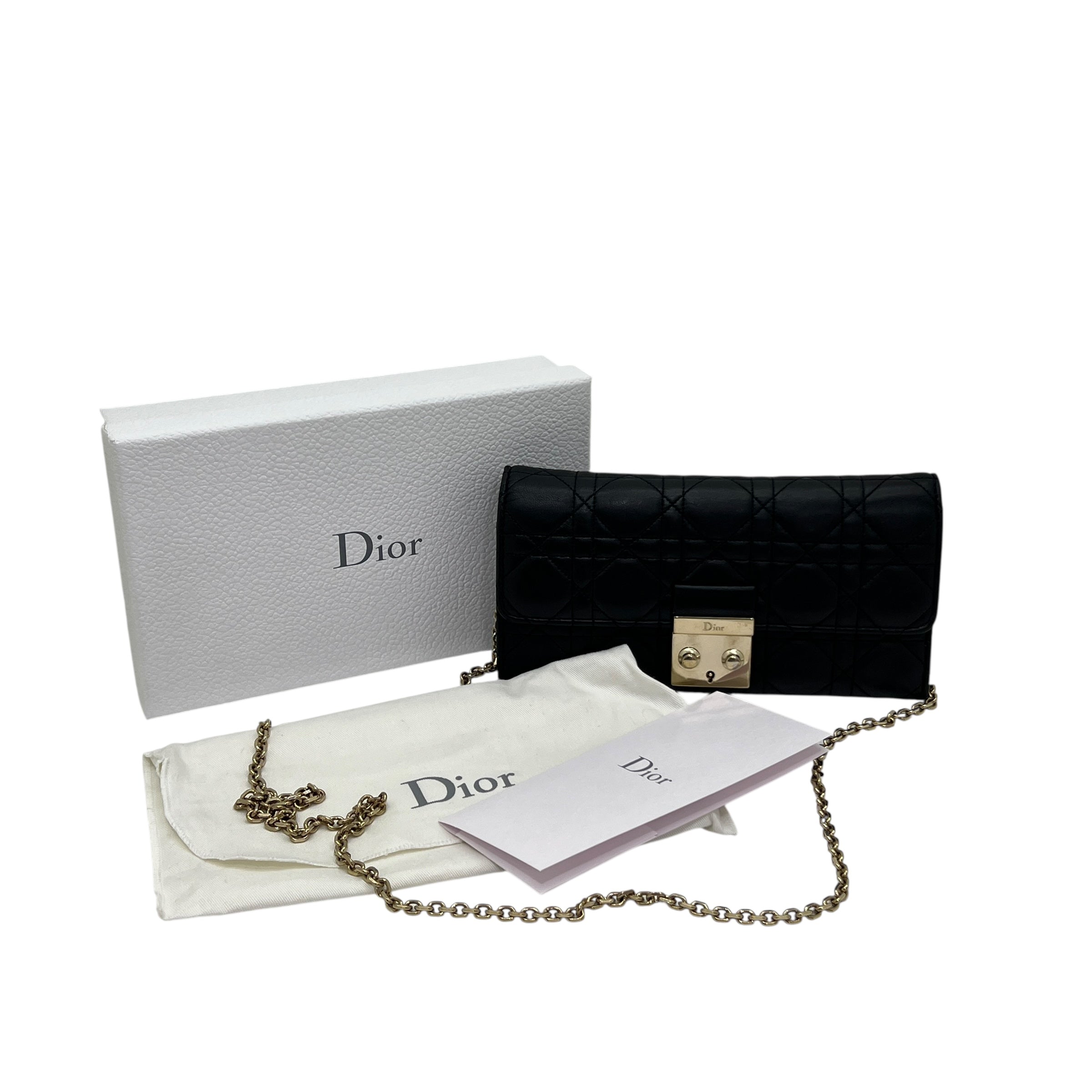 Pochette Diorama con catena