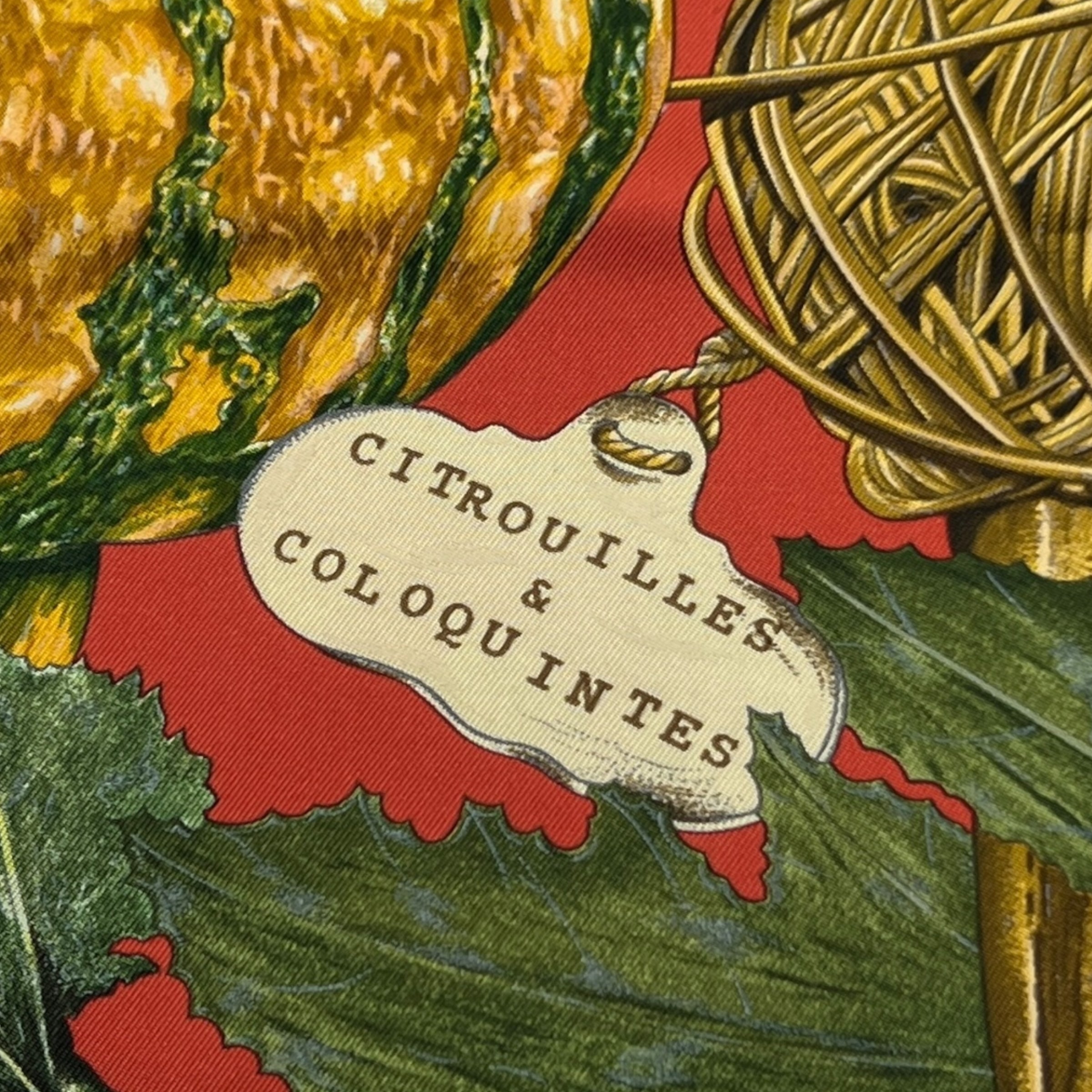 Foulard Carré 90 “Citrouilles & Coloquintes”