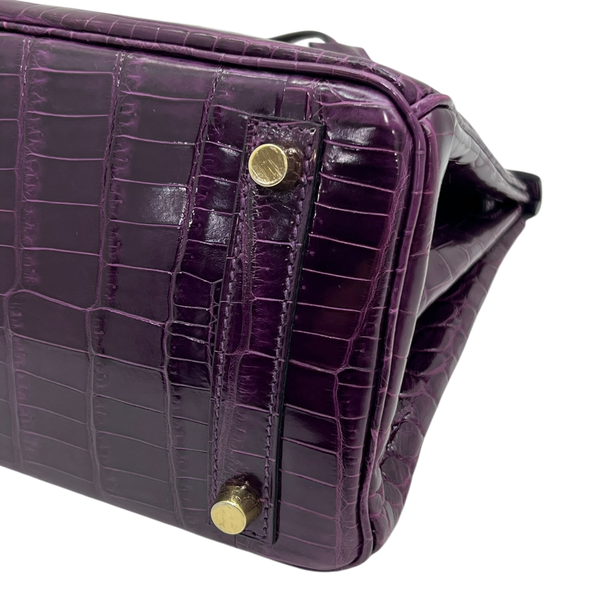 Birkin 25 Niloticus Aubergine (2014)