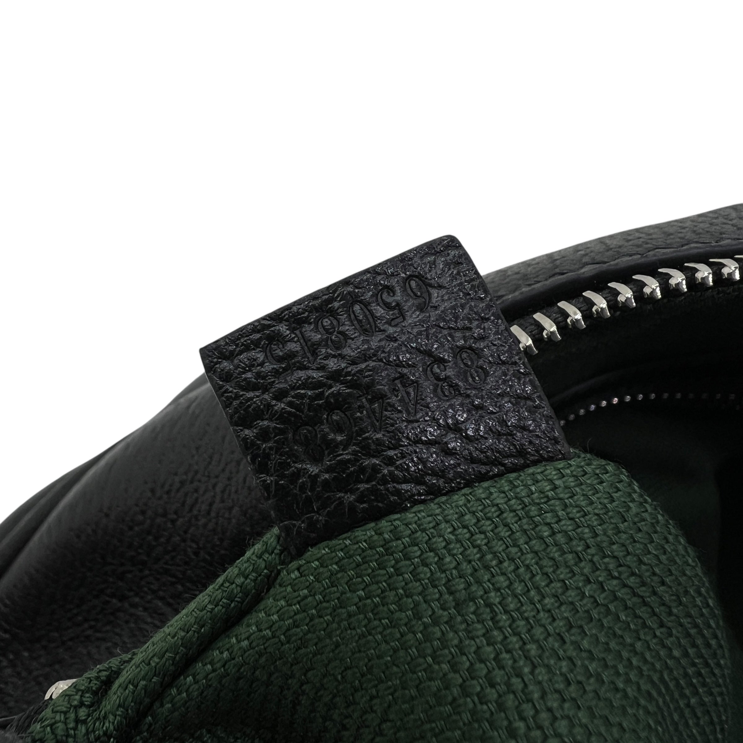 Tracolla Ophidia misura media