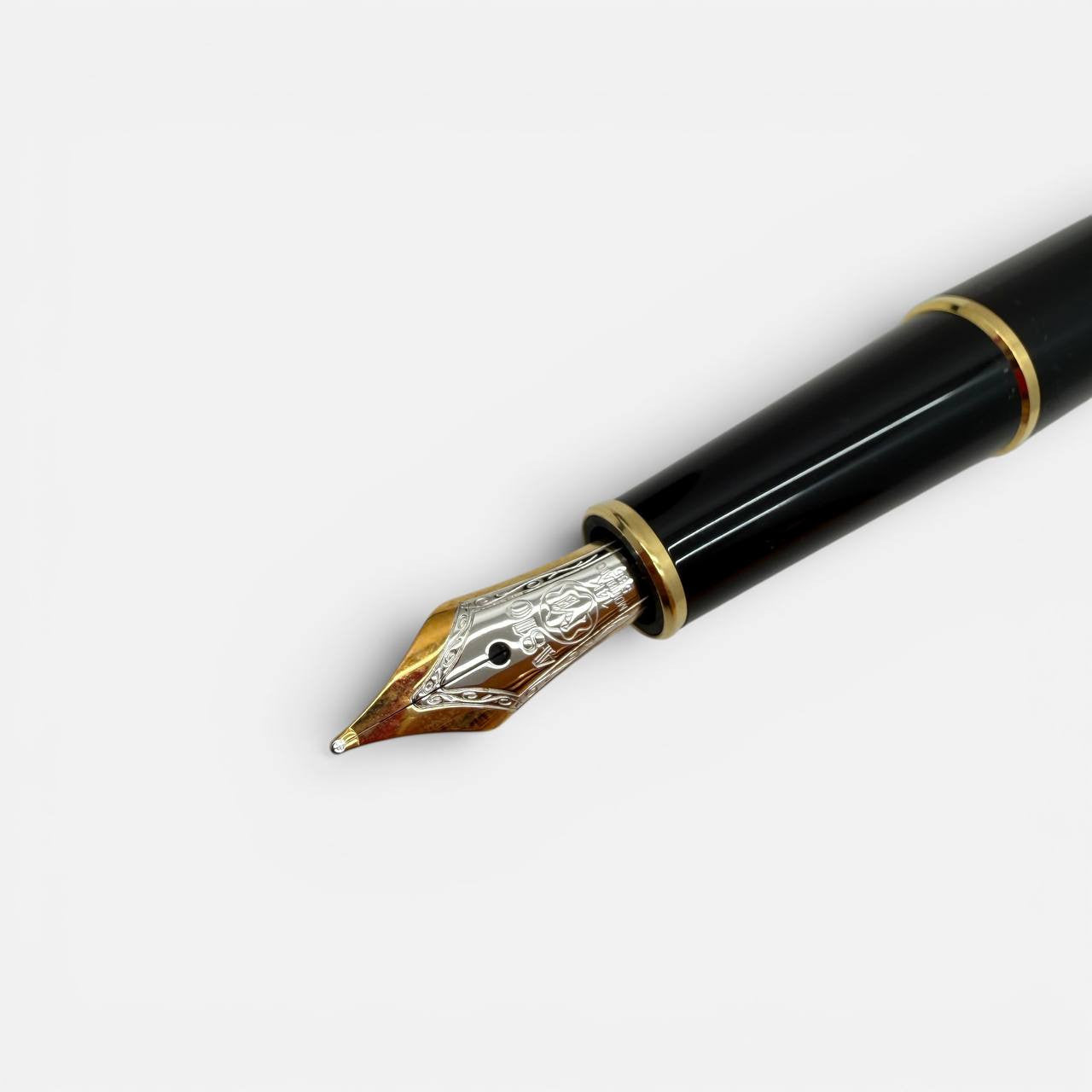 Penna stilografica Meisterstuck