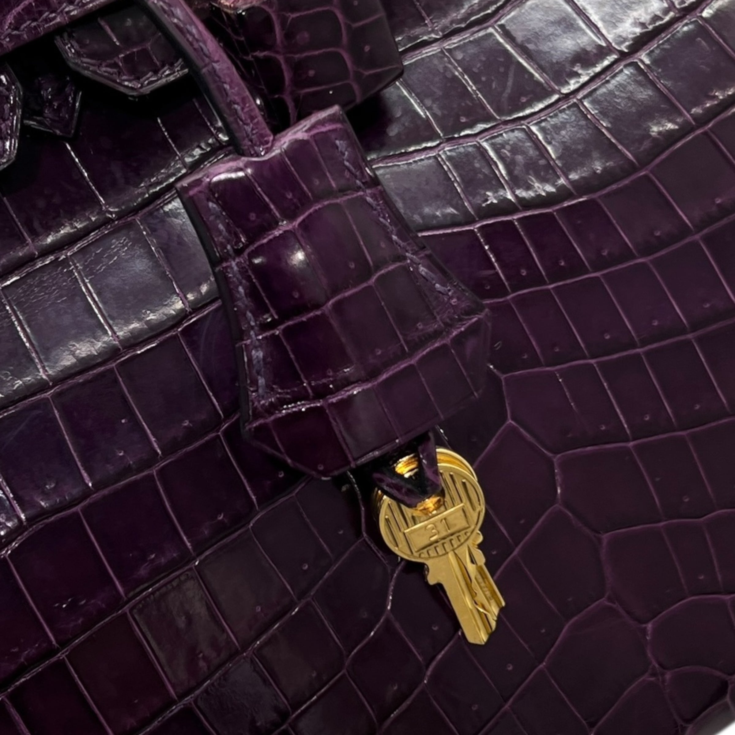 Birkin 25 Niloticus Aubergine (2014)