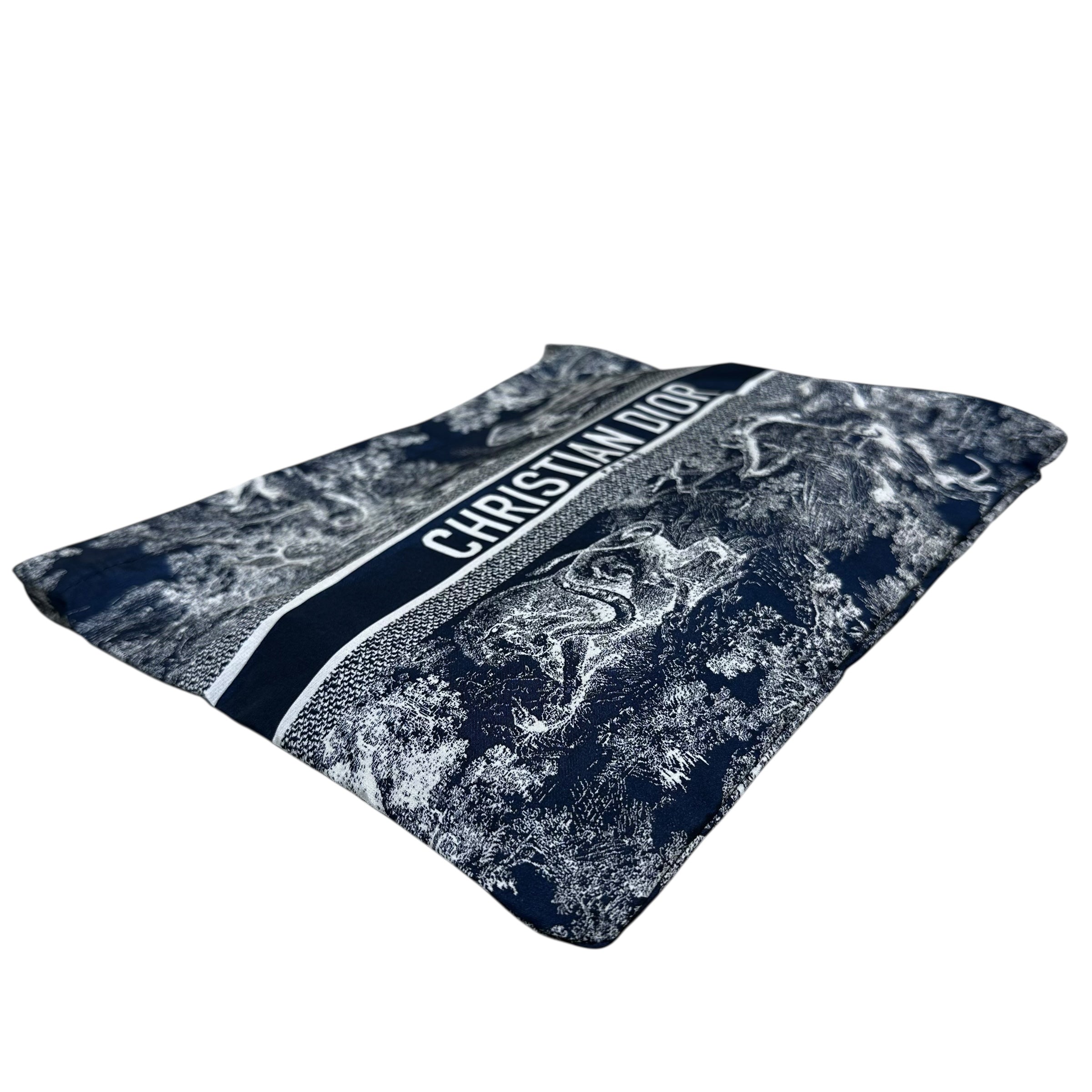 Pochette Dior travel