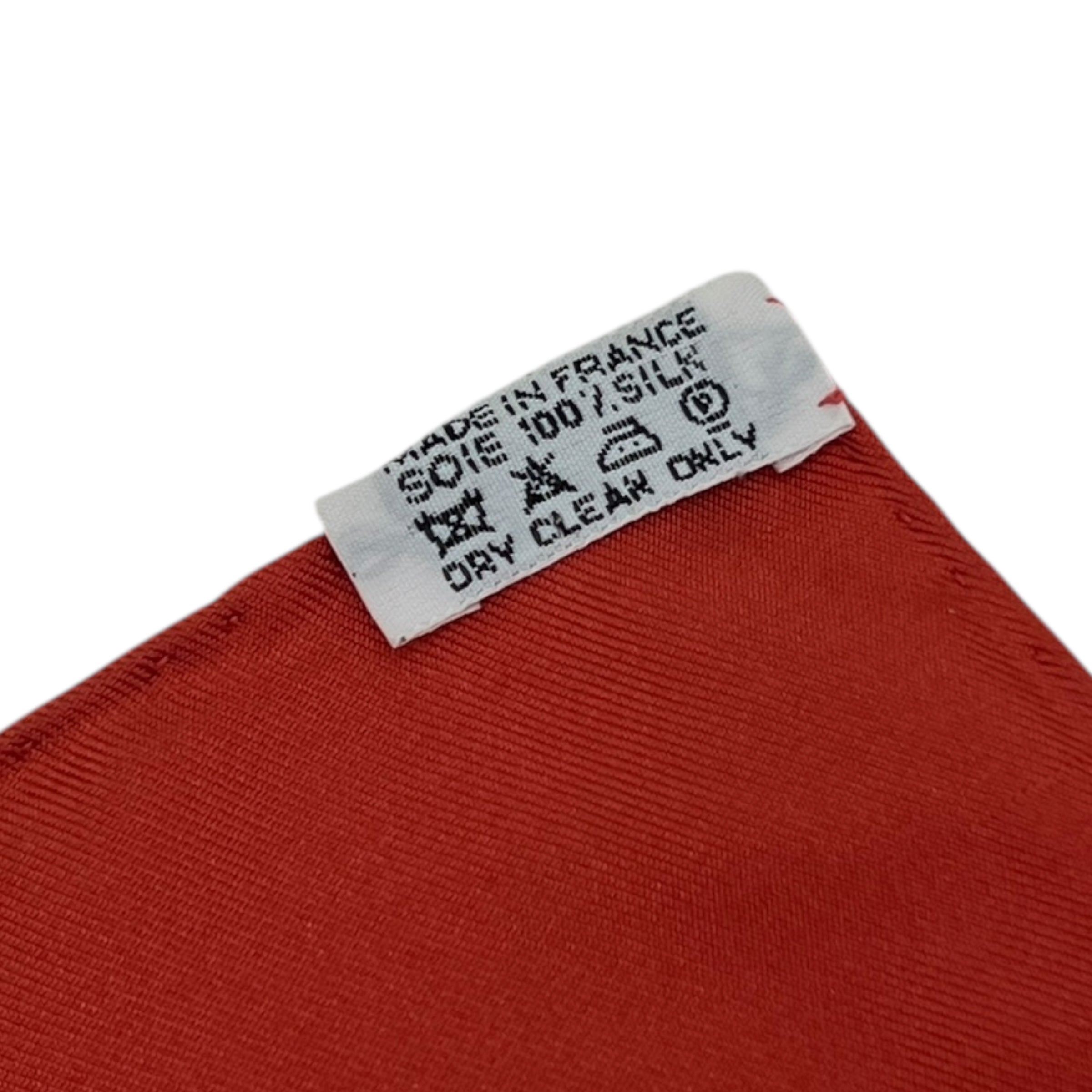 Foulard Carré 90 “Citrouilles & Coloquintes”