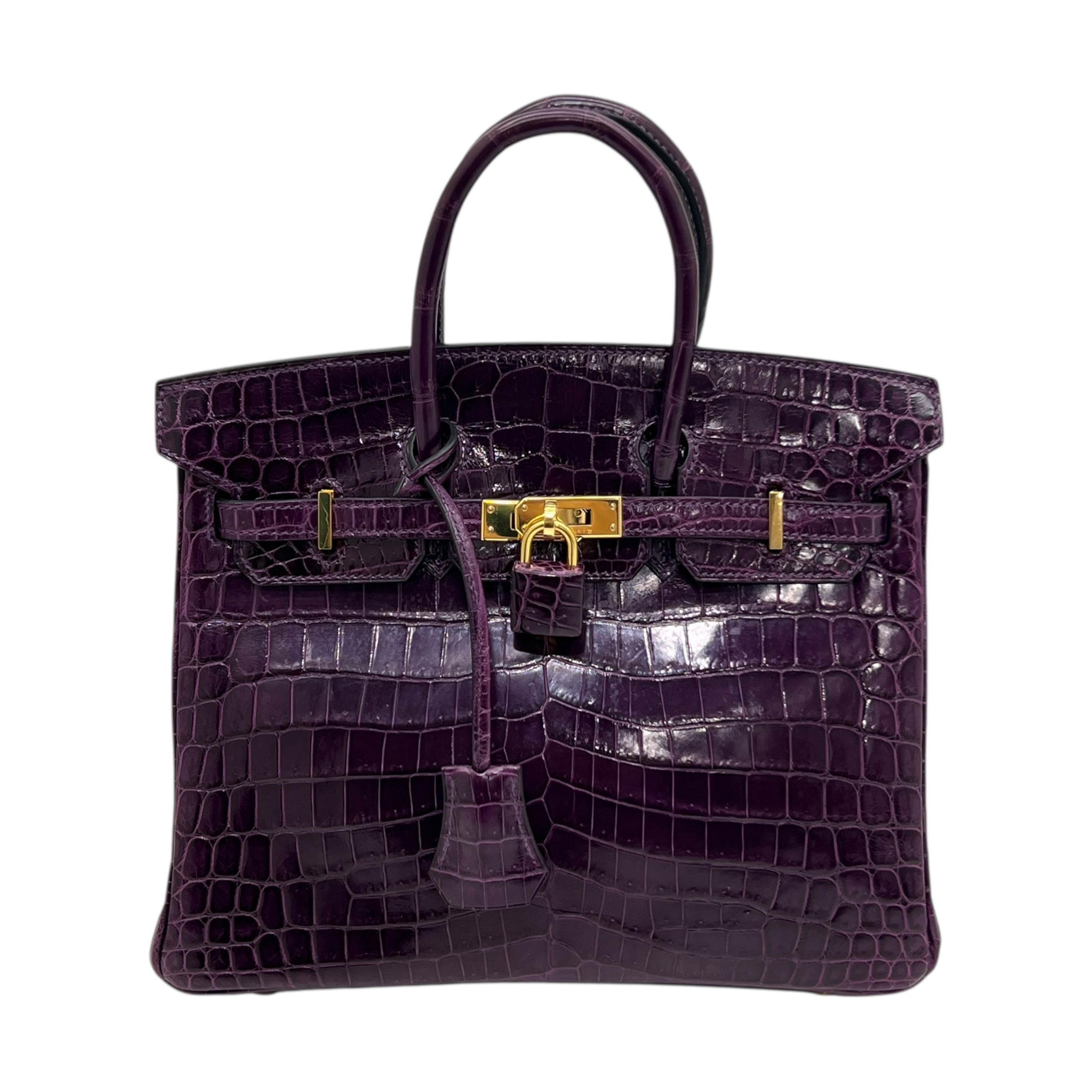Birkin 25 Niloticus Aubergine (2014)