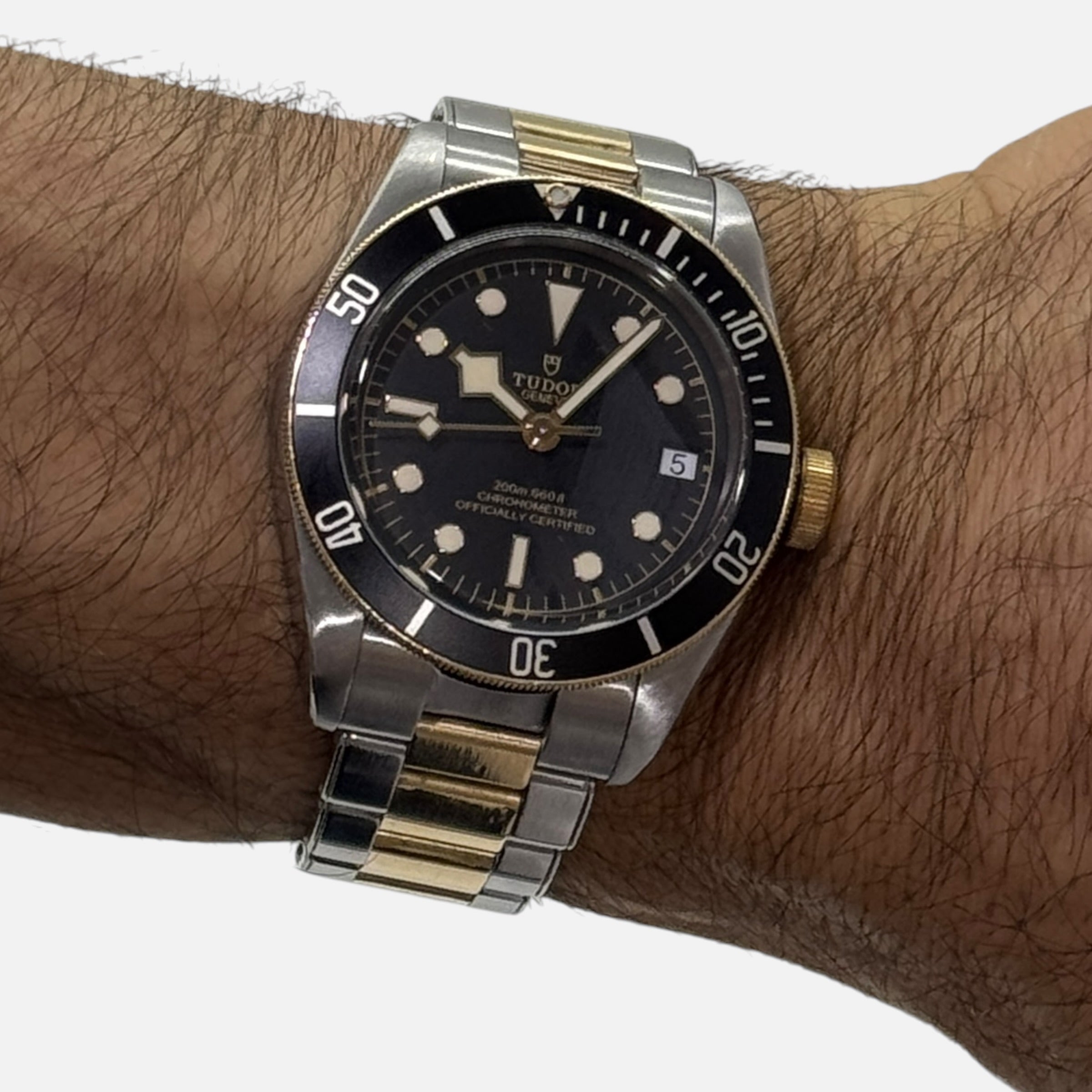 Black Bay 79733N