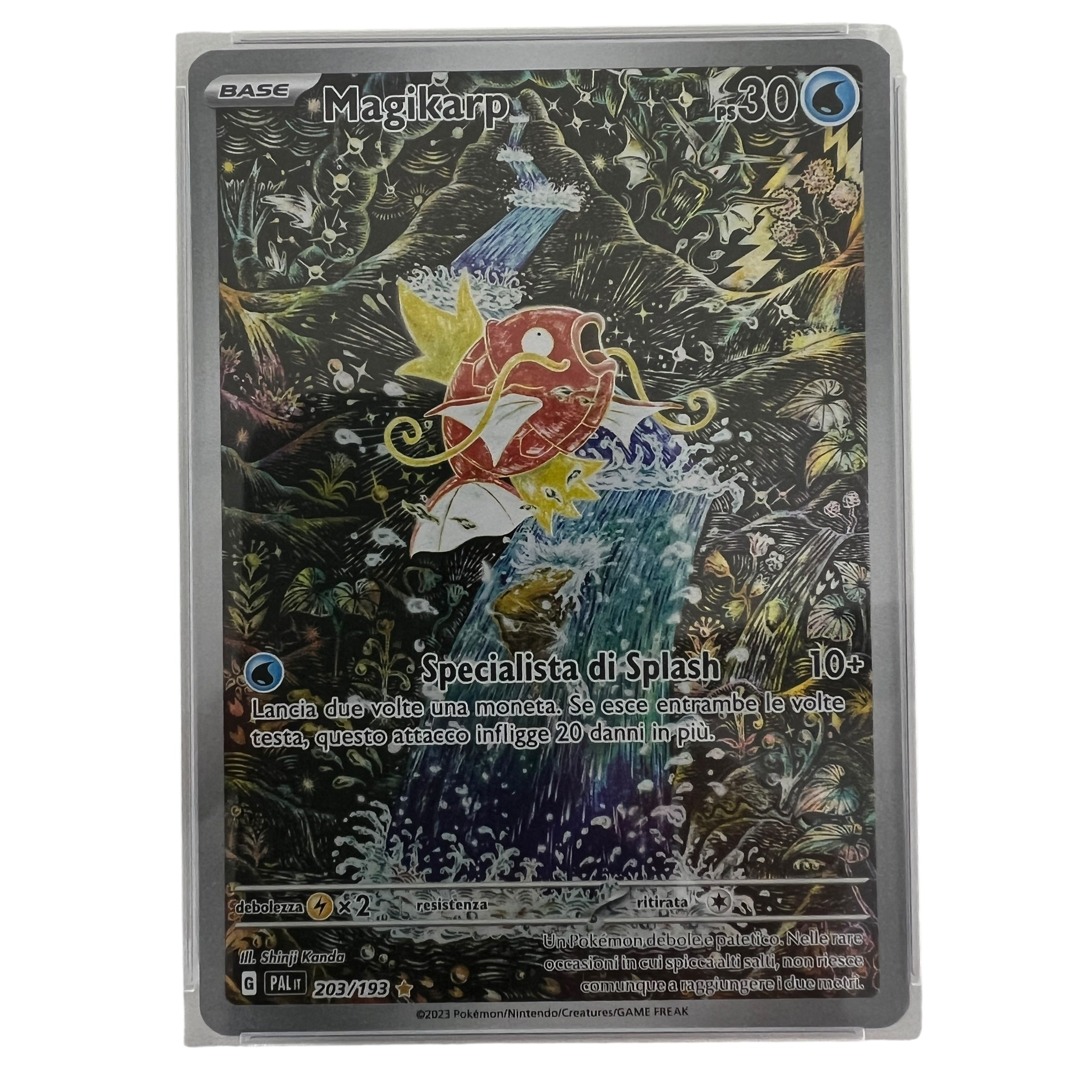 Magikarp Pal 203 Ita Psa 10