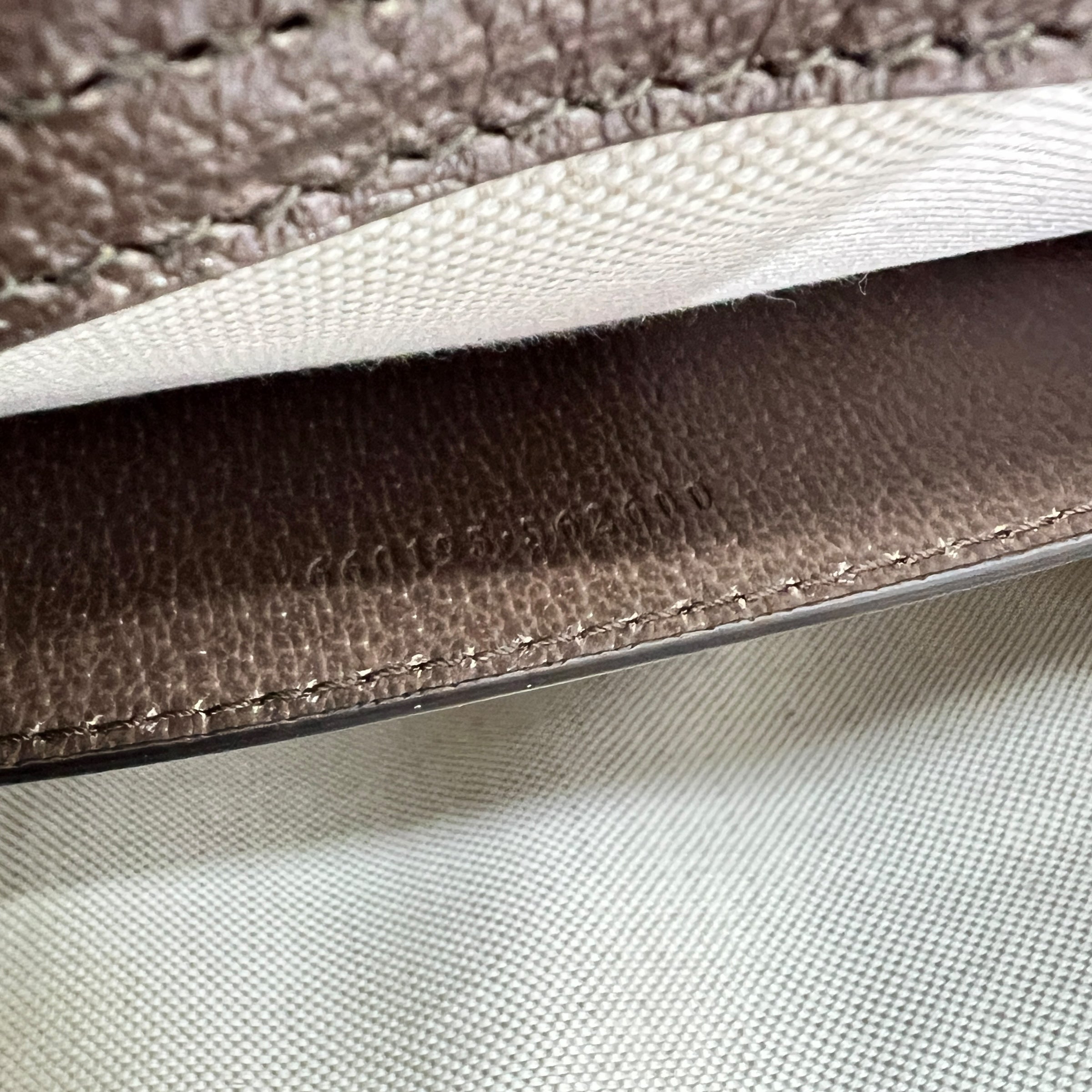 Diana misura media Jumbo GG