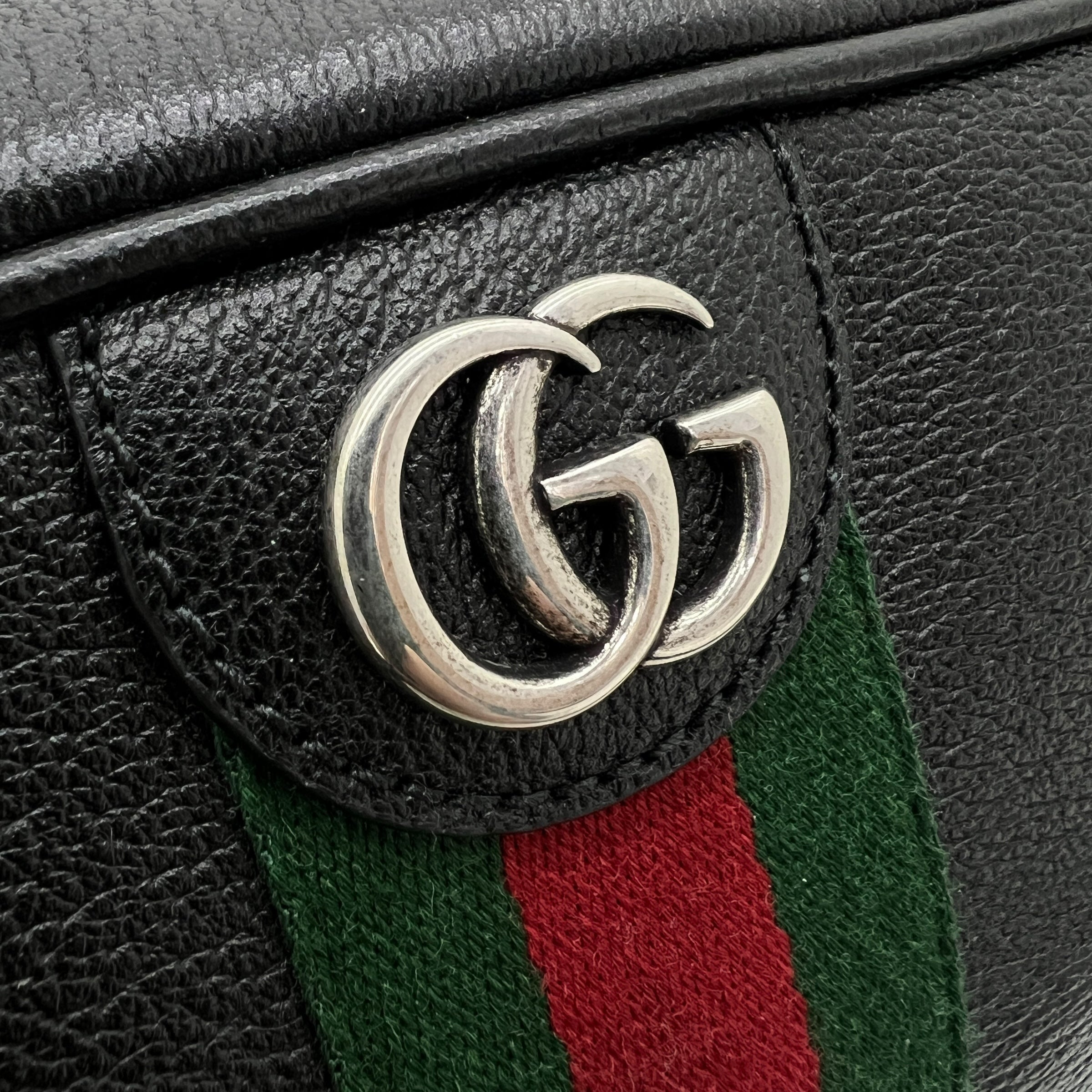 Tracolla Ophidia misura media