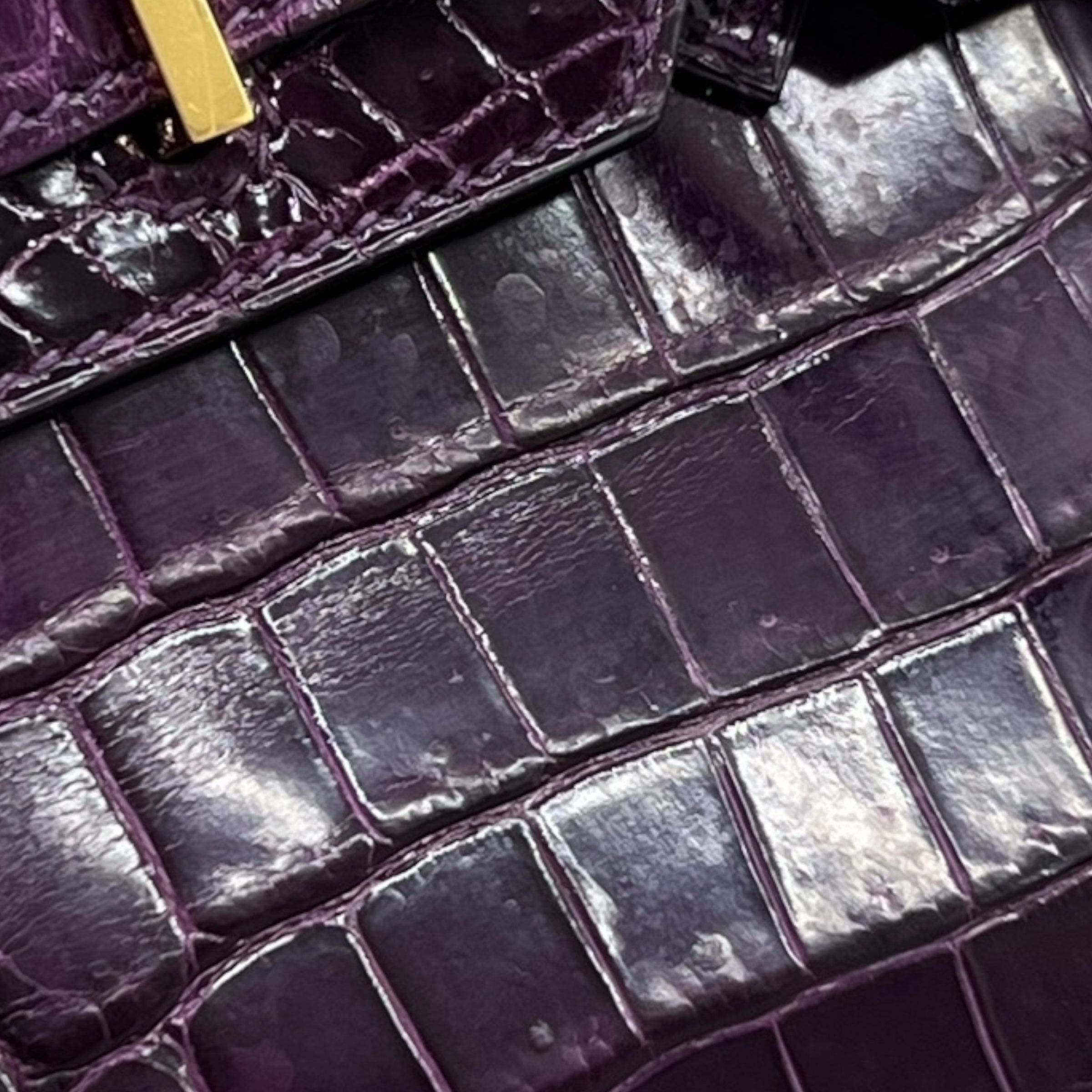 Birkin 25 Niloticus Aubergine (2014)
