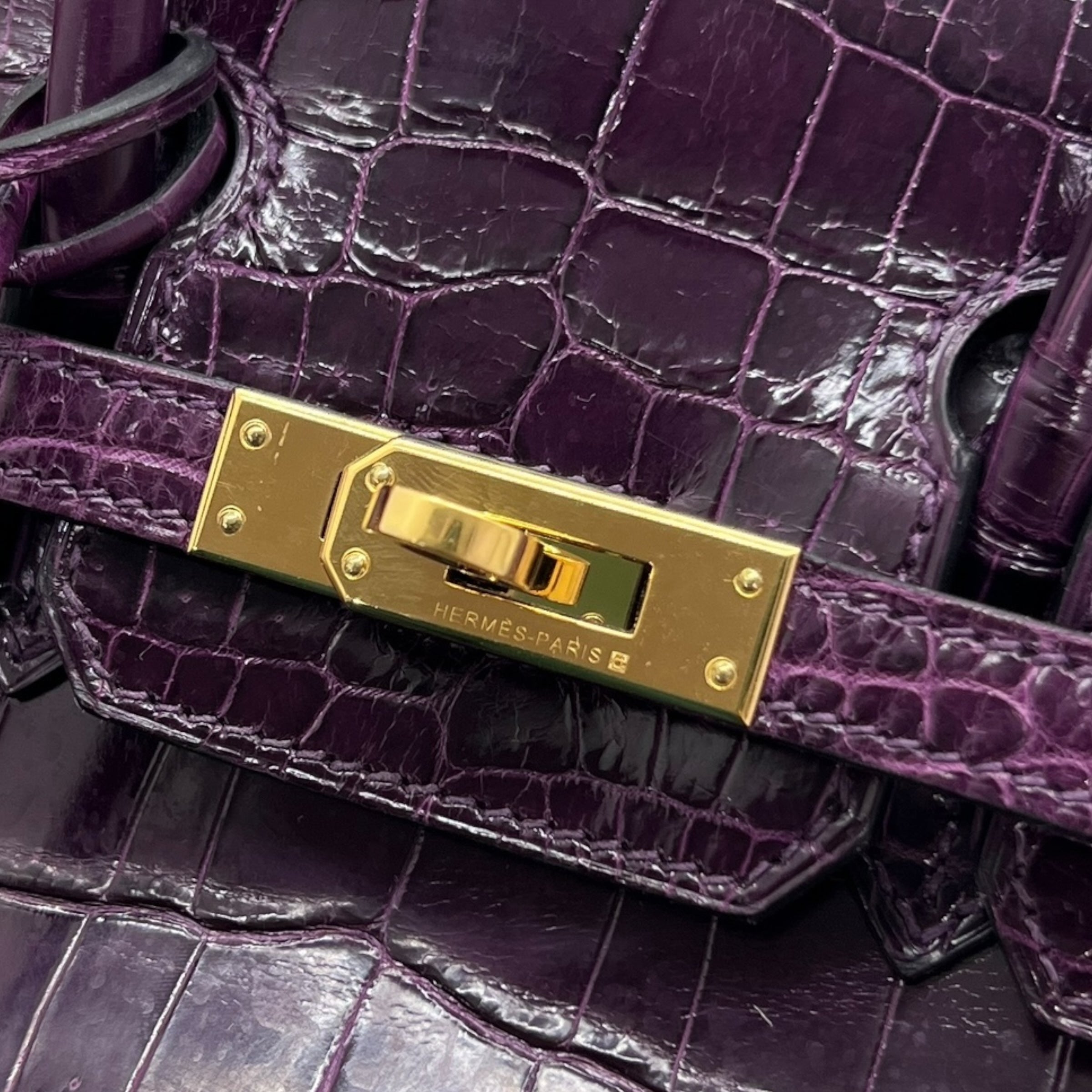 Birkin 25 Niloticus Aubergine (2014)