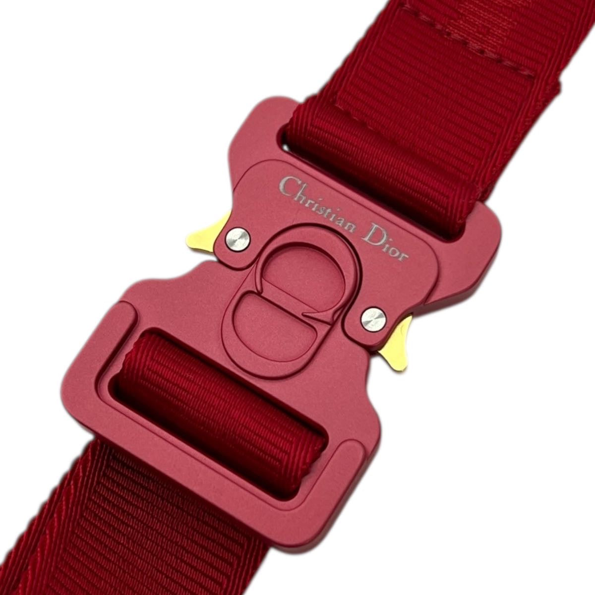 DIOR X ERL LINGOT 22 IN NYLON TRAPUNTATO