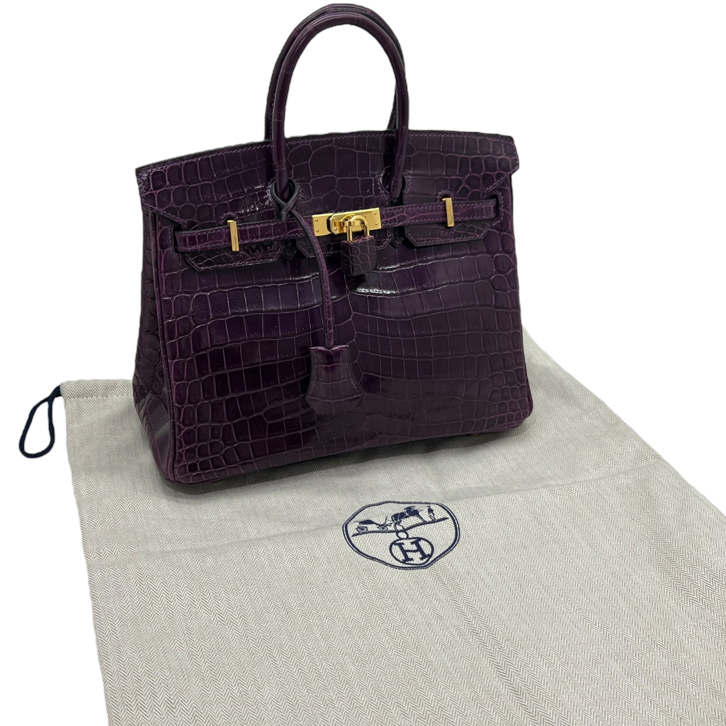 Birkin 25 Niloticus Aubergine (2014)