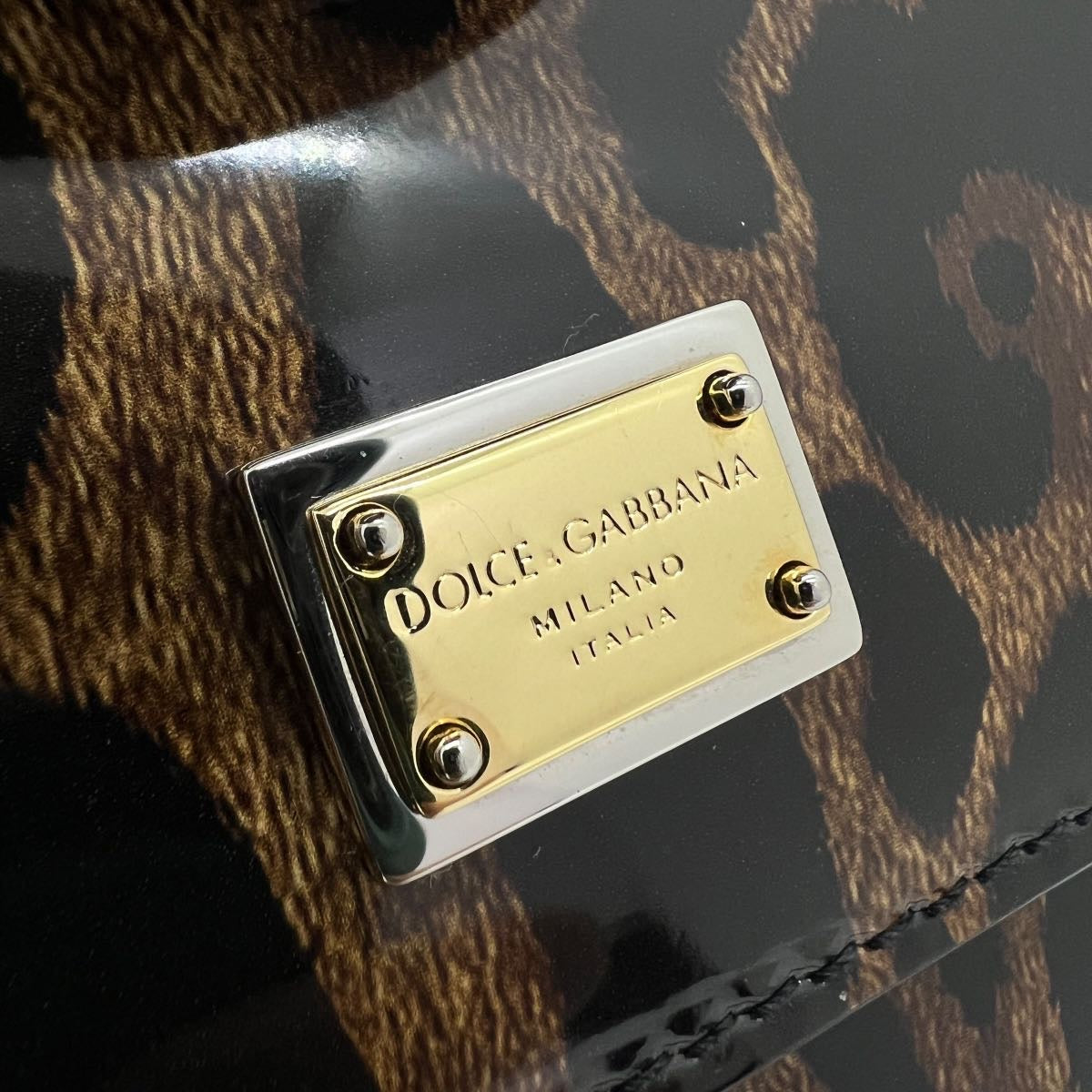 Sicily piccola in pelle lucida stampa leo