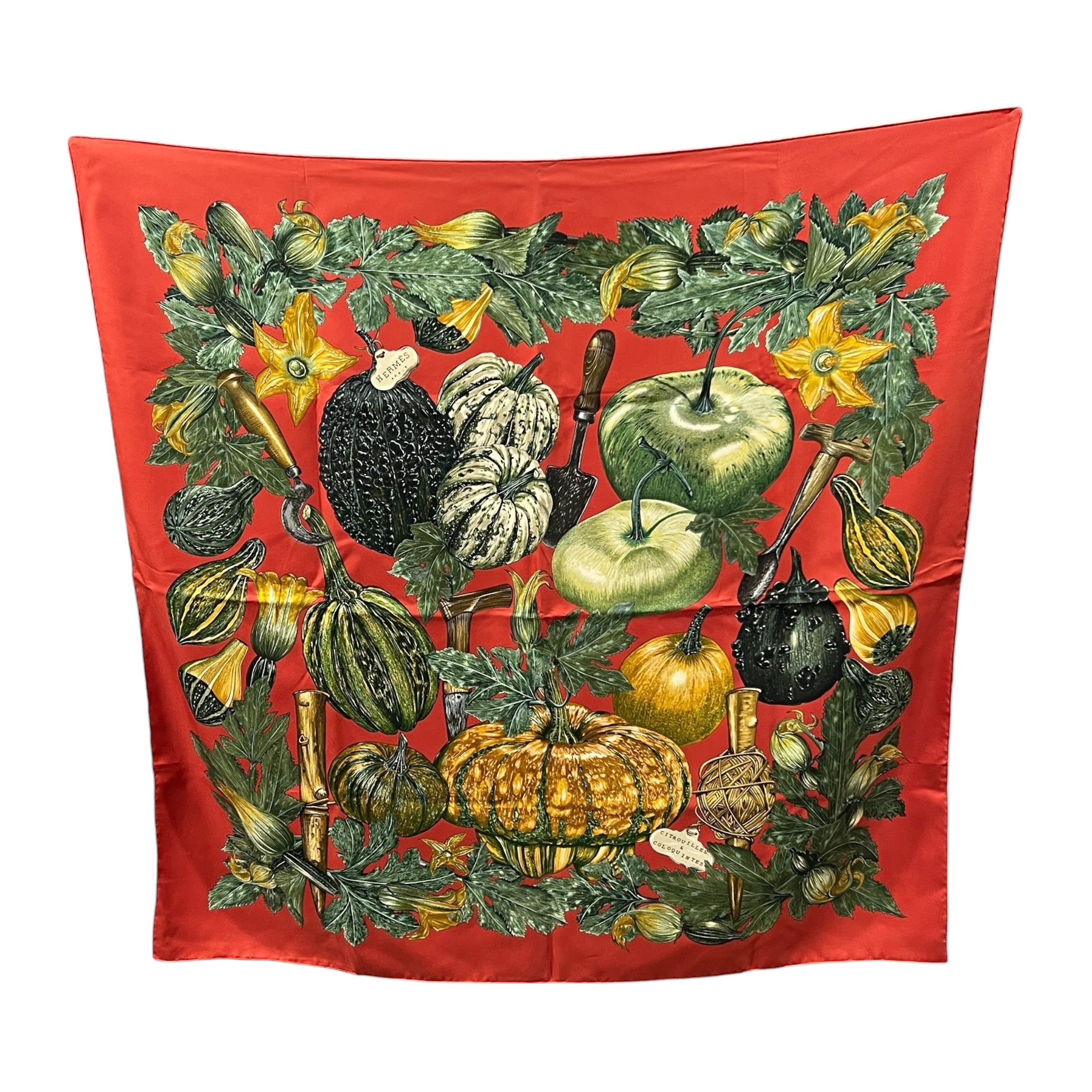 Foulard Carré 90 “Citrouilles & Coloquintes”