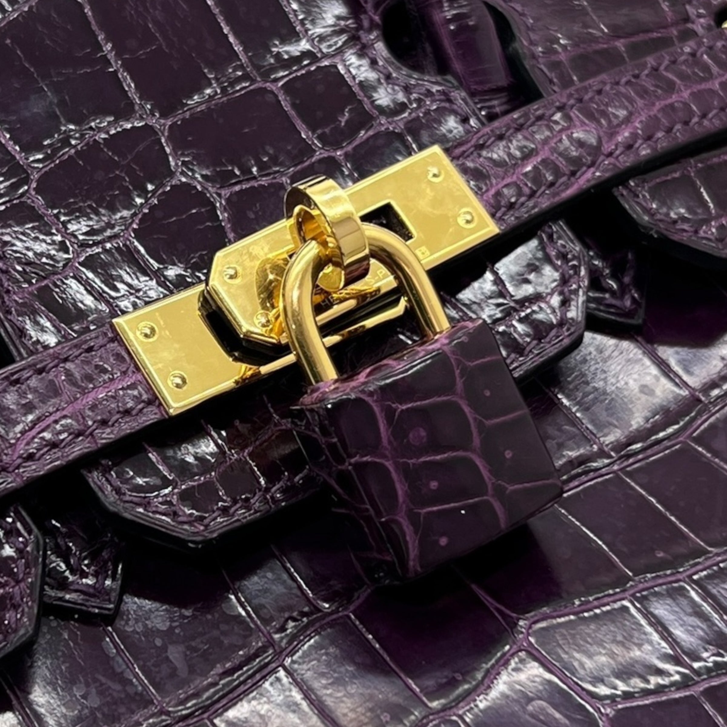 Birkin 25 Niloticus Aubergine (2014)