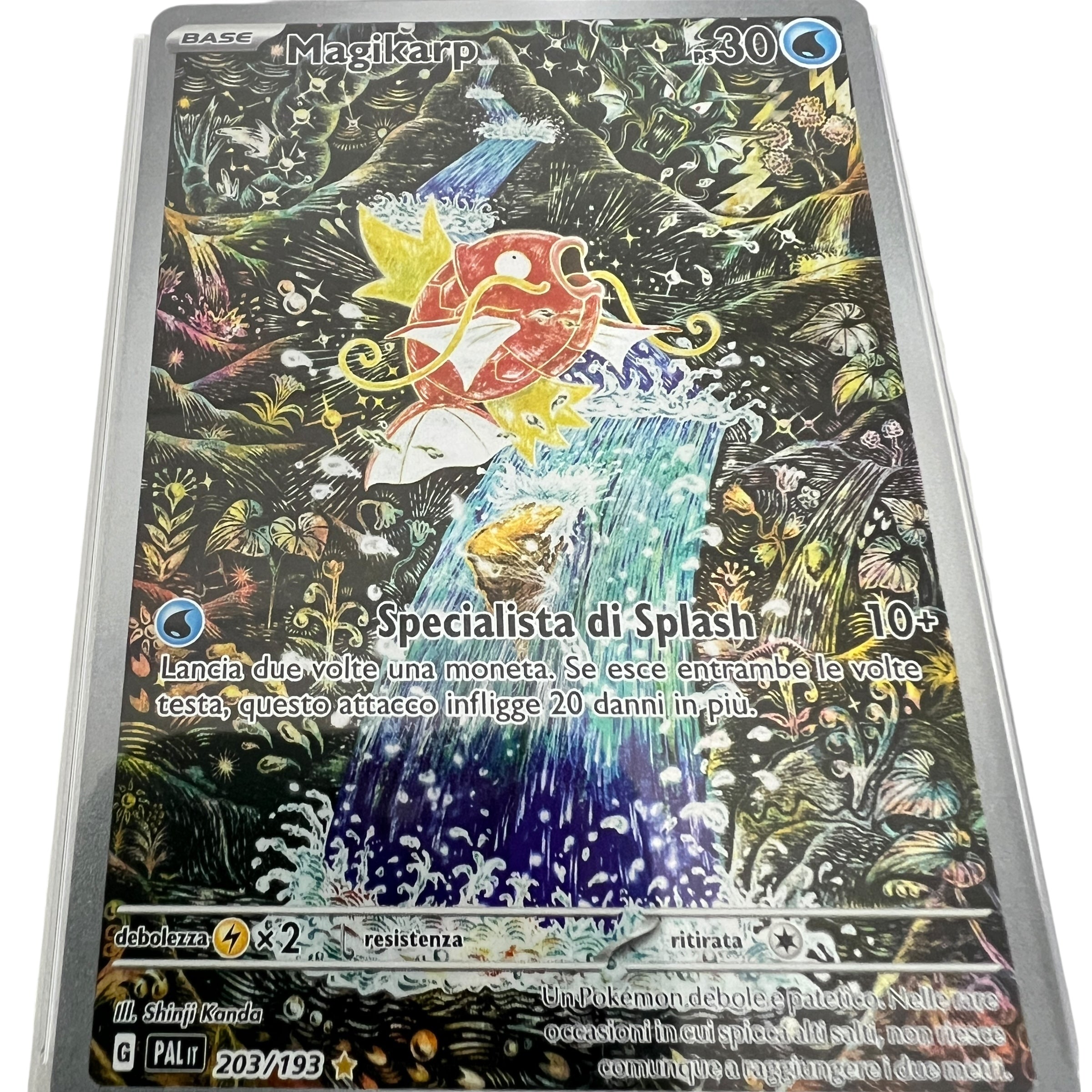 Magikarp Pal 203 Ita Psa 10