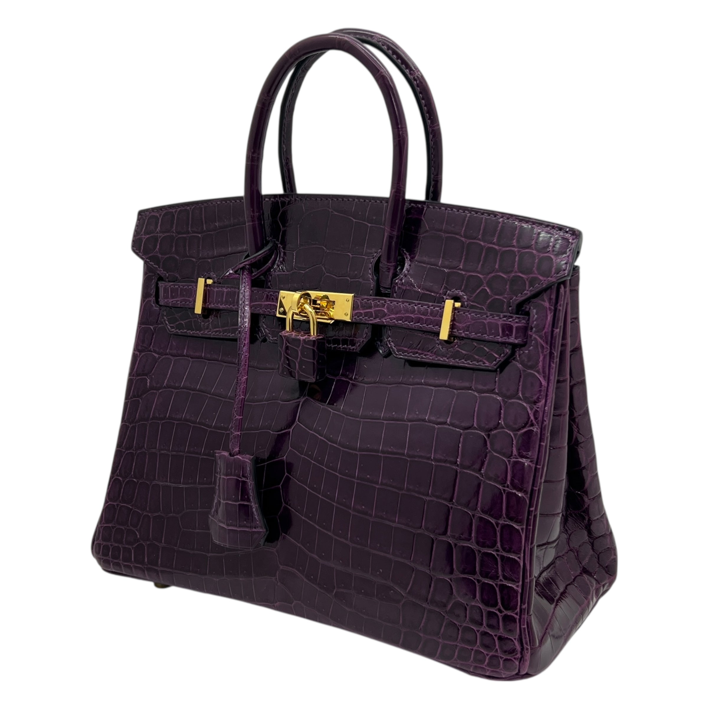 Birkin 25 Niloticus Aubergine (2014)