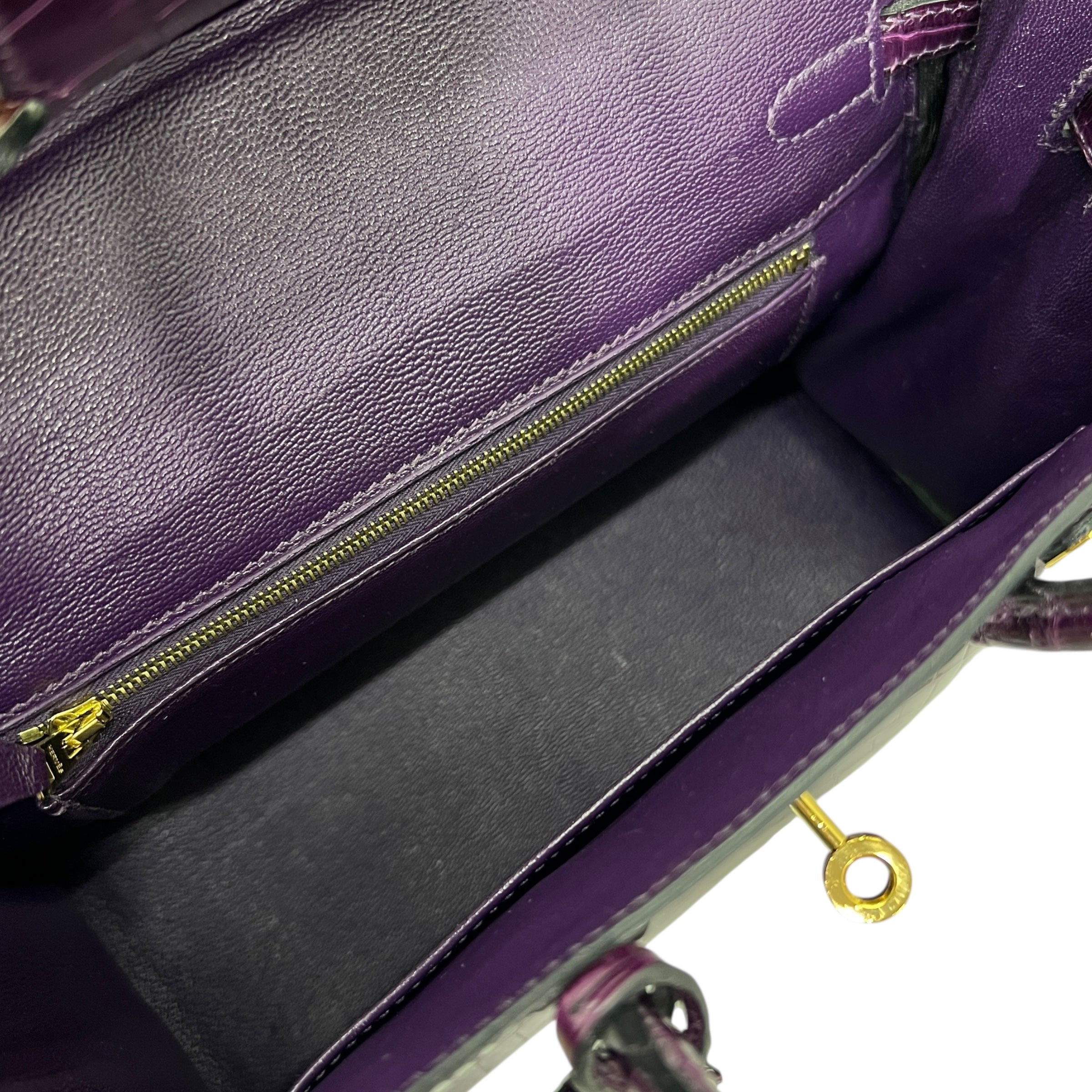 Birkin 25 Niloticus Aubergine (2014)