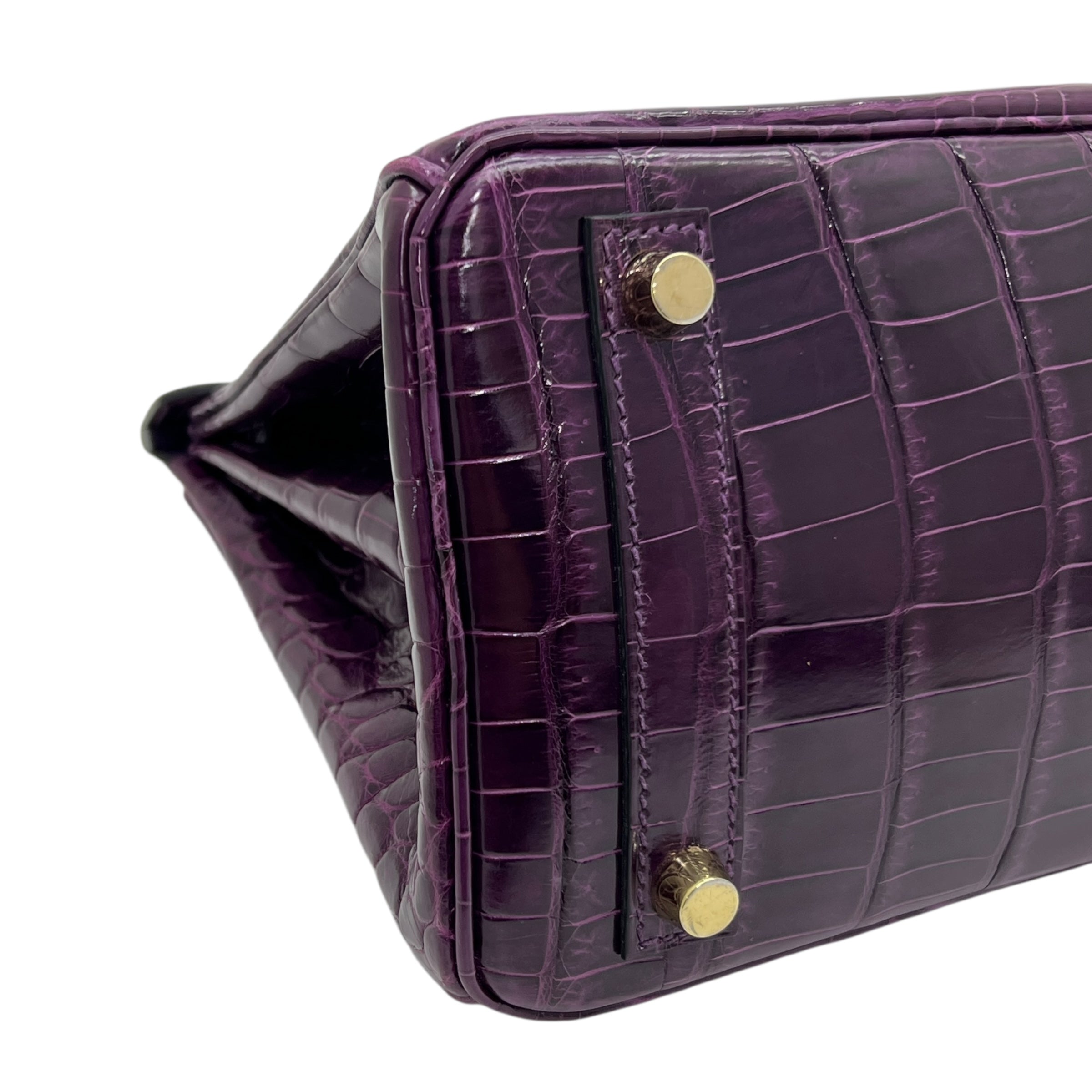 Birkin 25 Niloticus Aubergine (2014)