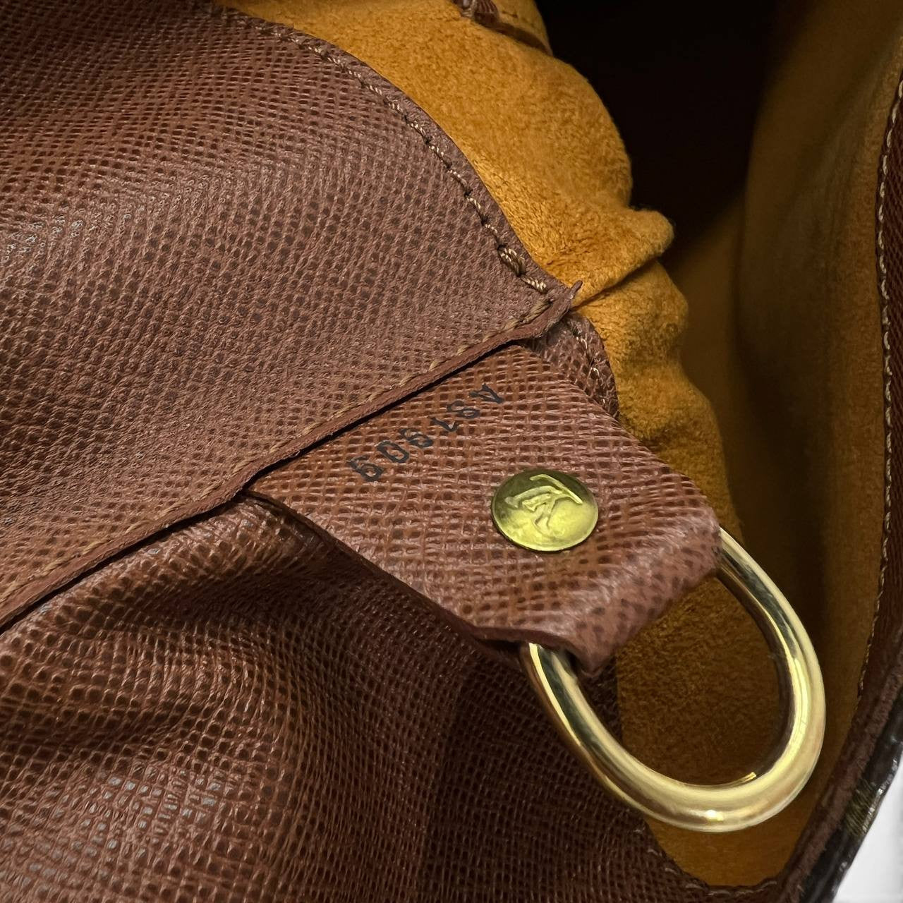 Musette salsa