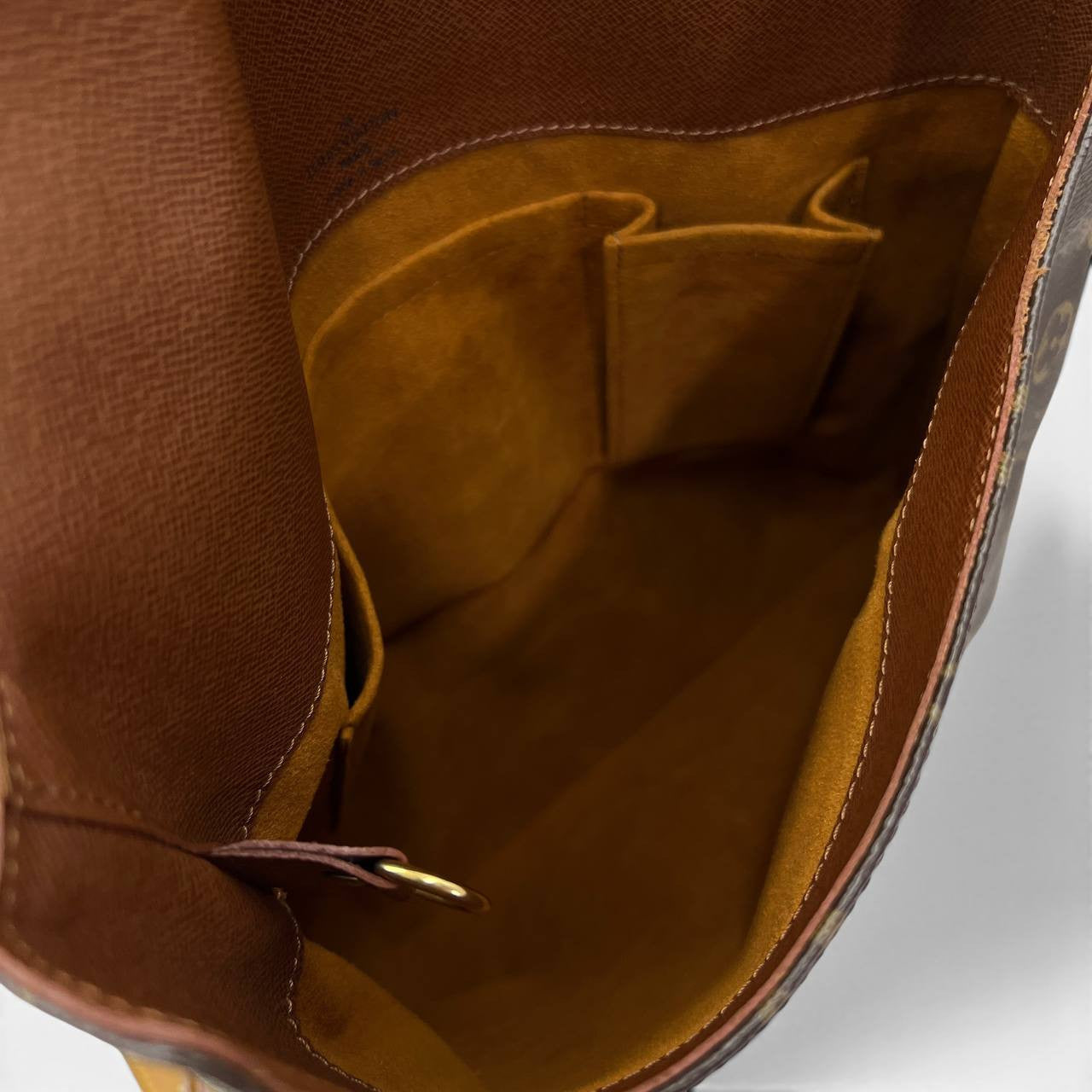 Musette Salsa tracolla monogram