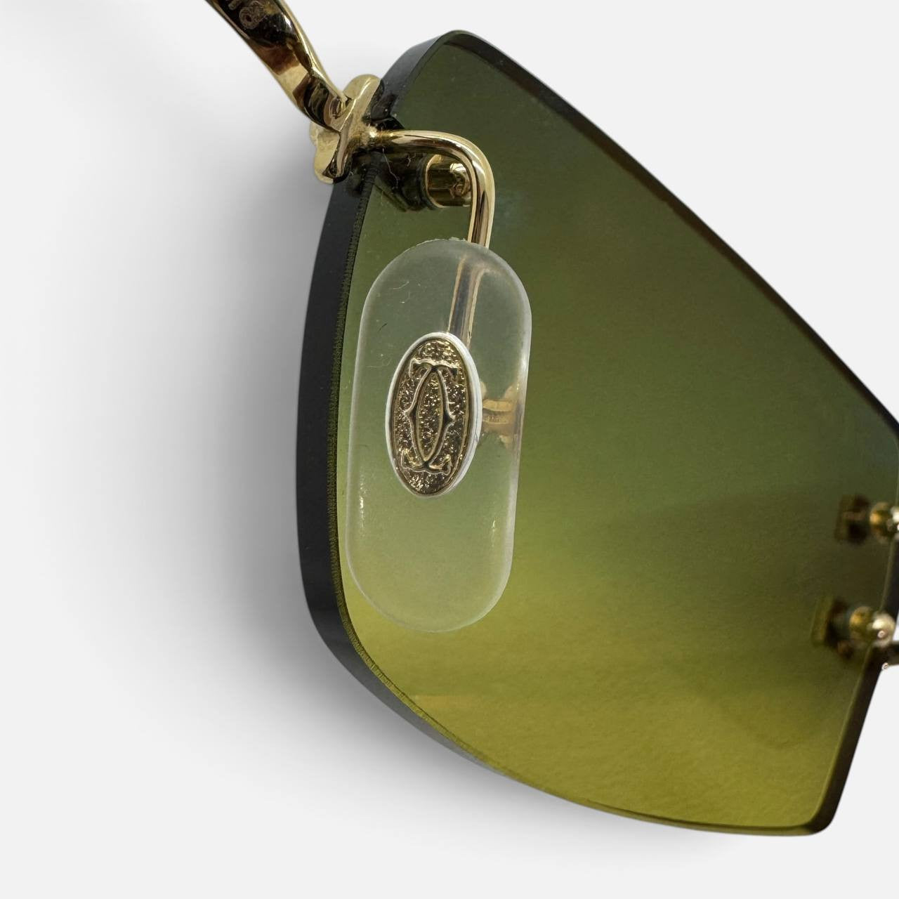 Occhiali da sole CT0550S