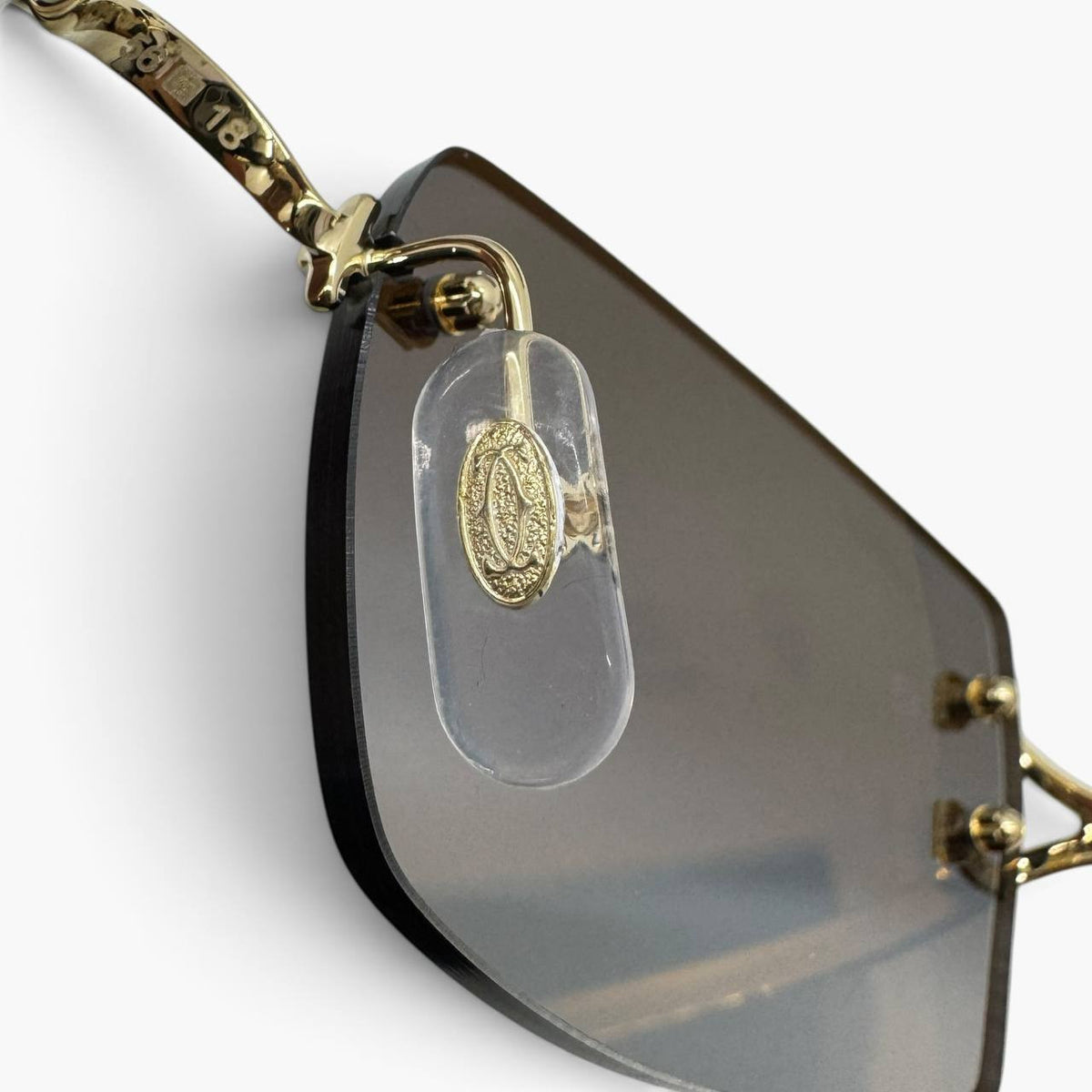 Occhiali da sole CT0550S